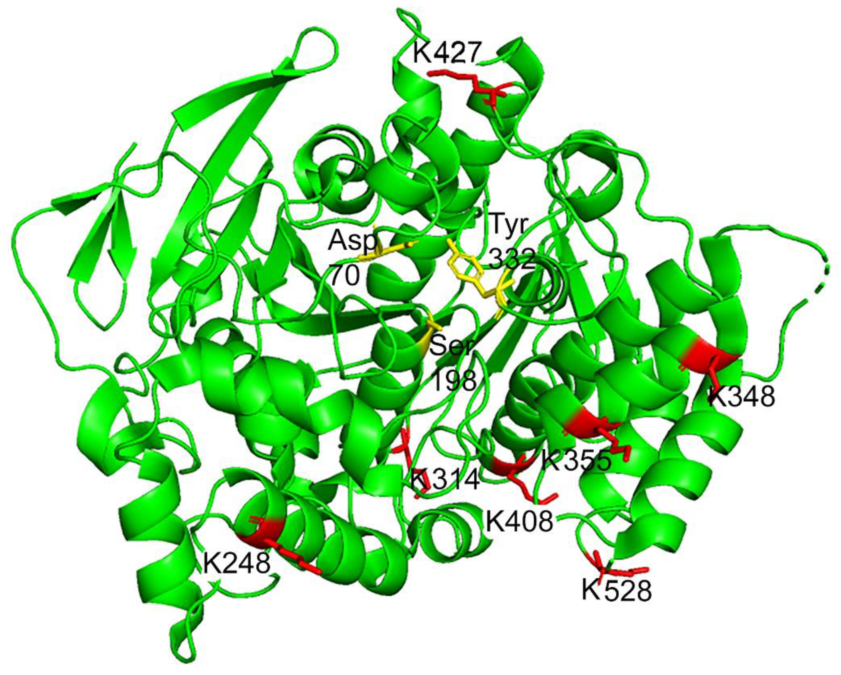 Molecules 25 02659 g005
