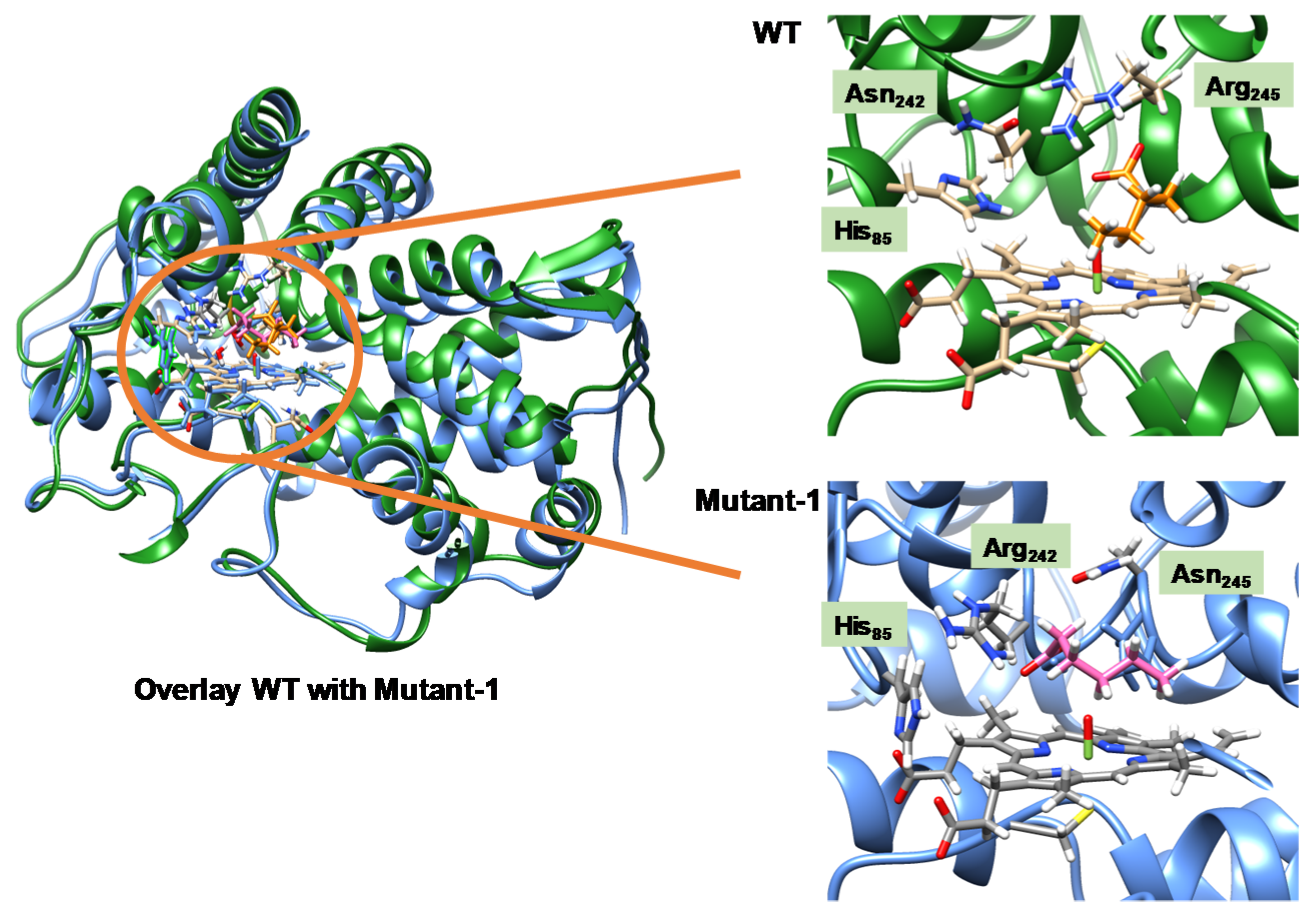Molecules 25 02675 g011