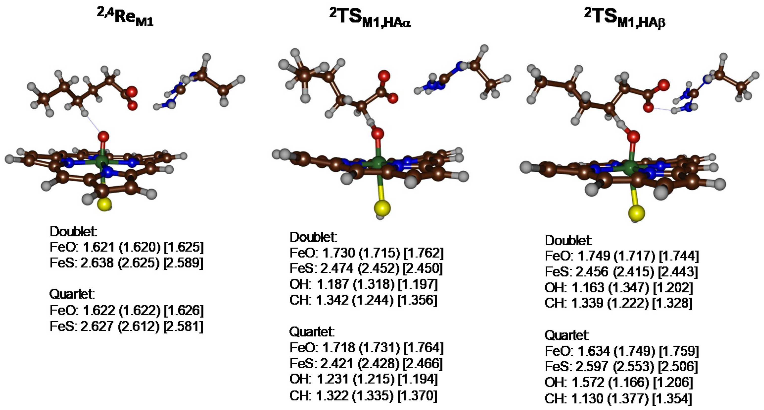 Molecules 25 02675 g012