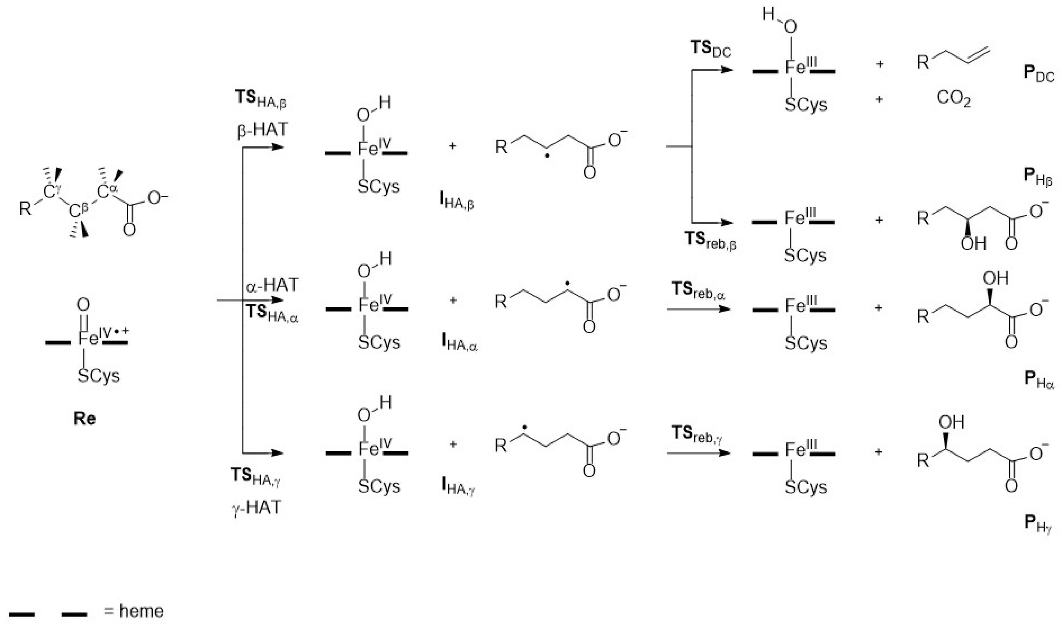 Molecules 25 02675 sch003