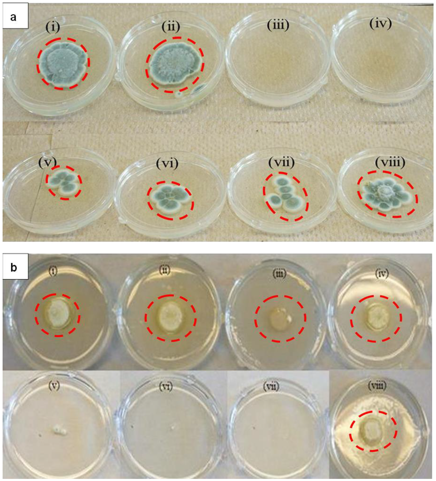 Molecules 25 02682 g003