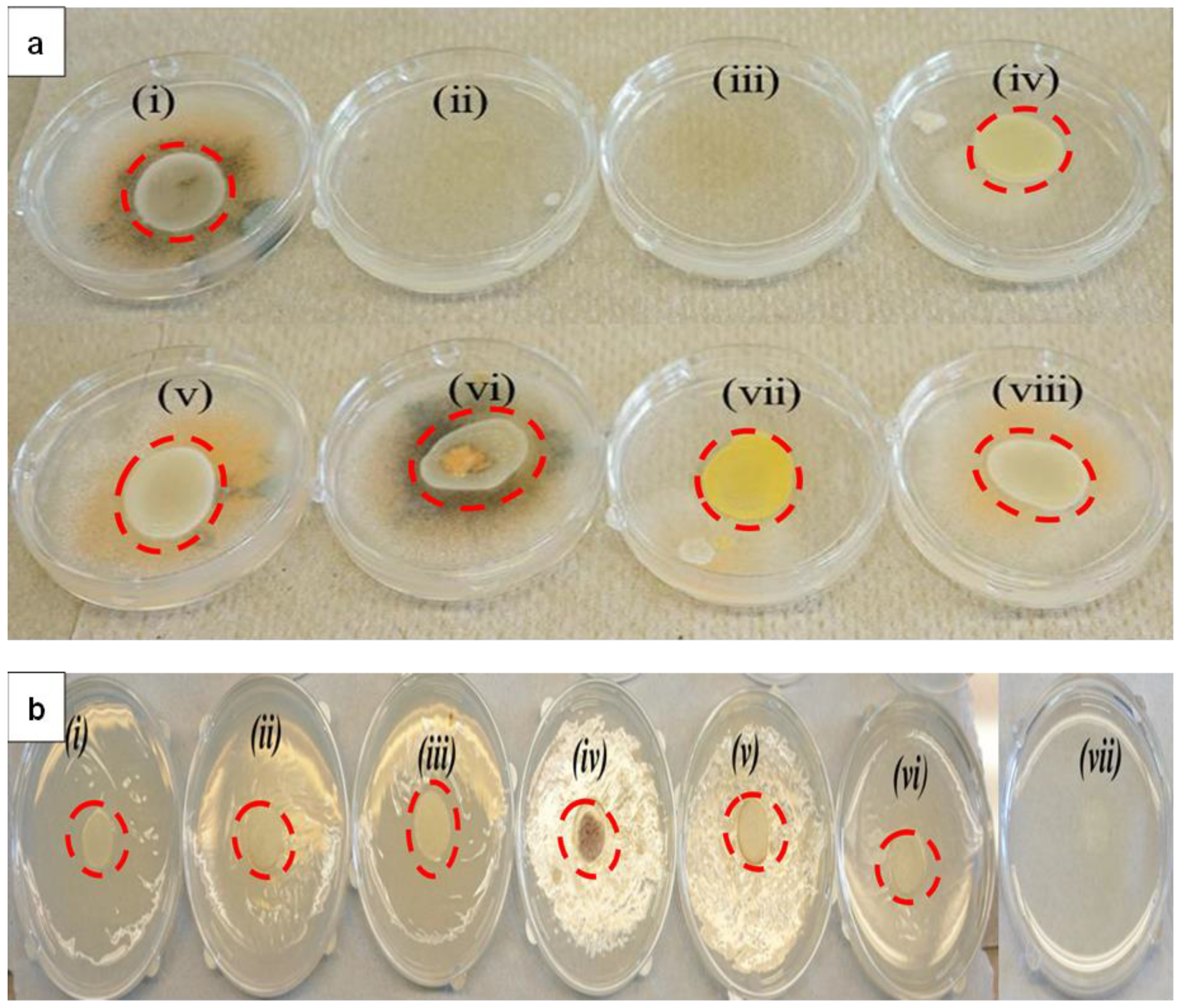 Molecules 25 02682 g004