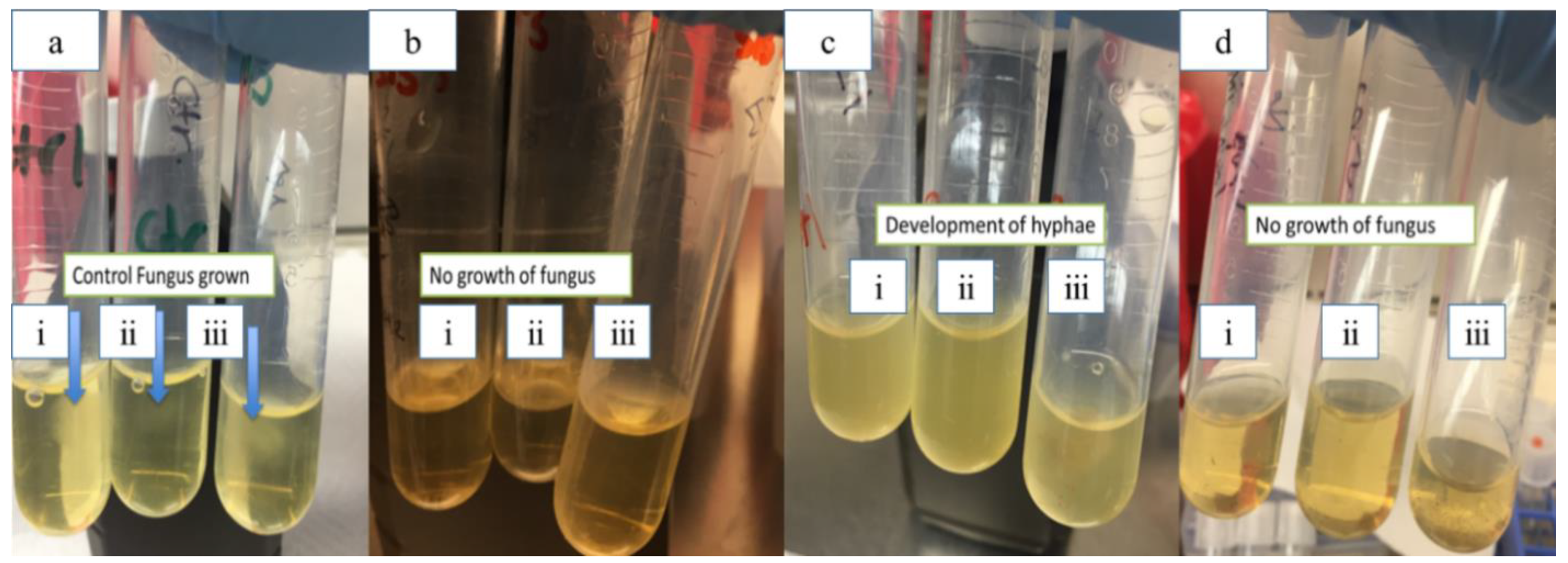 Molecules 25 02682 g005