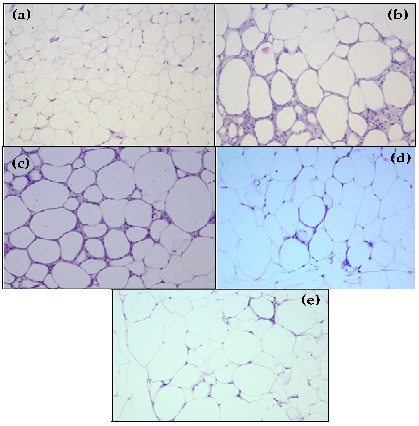 Molecules 25 02693 g001a