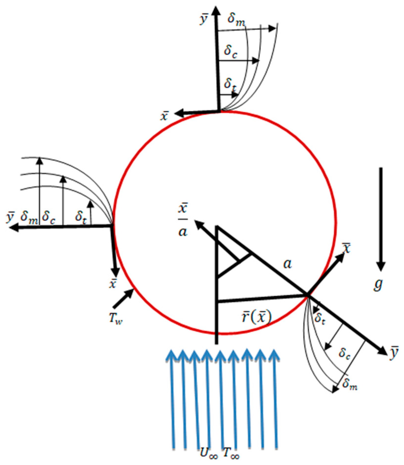 Molecules 25 02694 g001