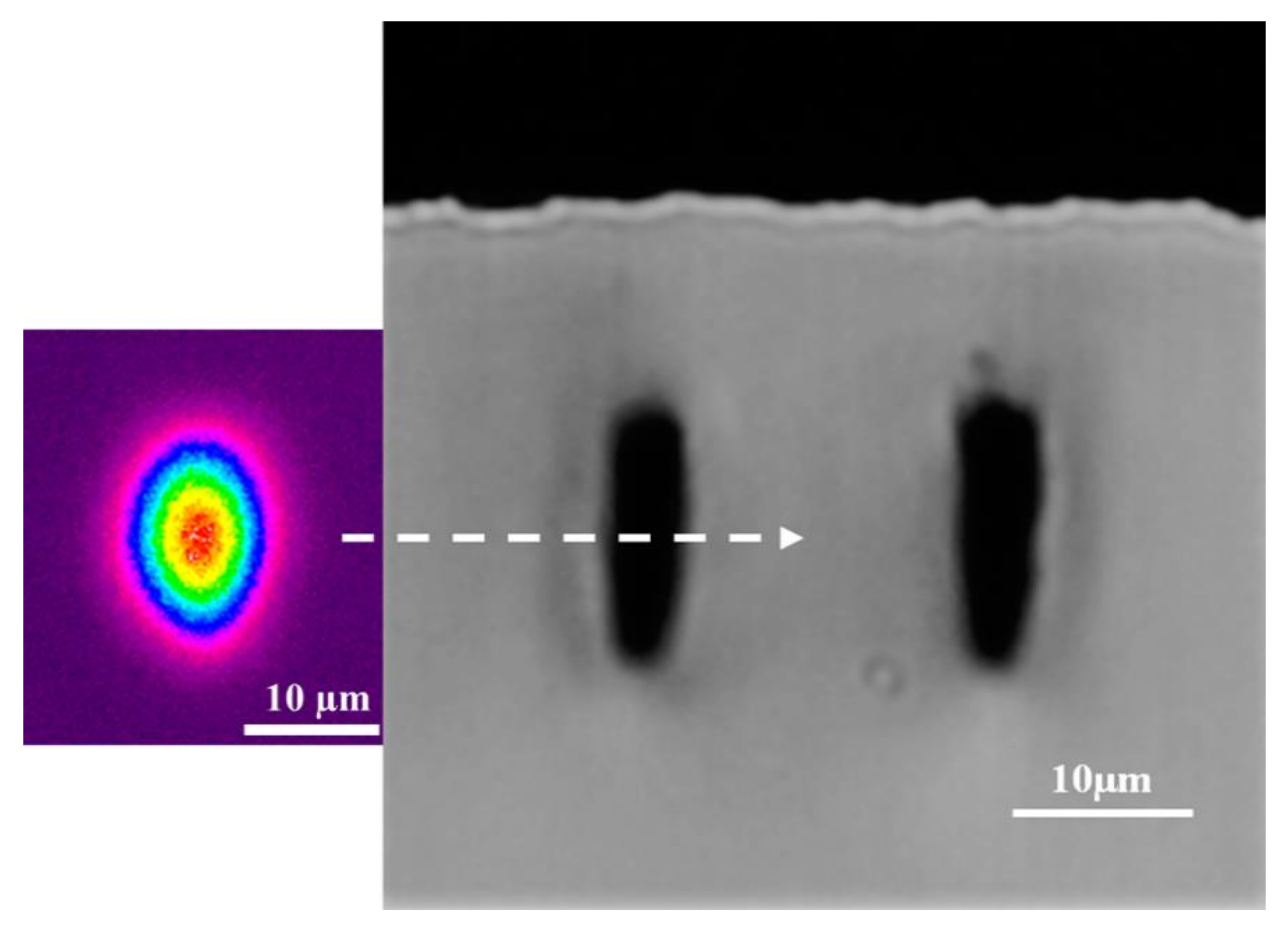 Molecules 25 02698 g001