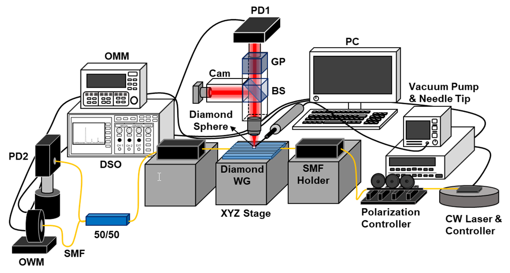Molecules 25 02698 g003