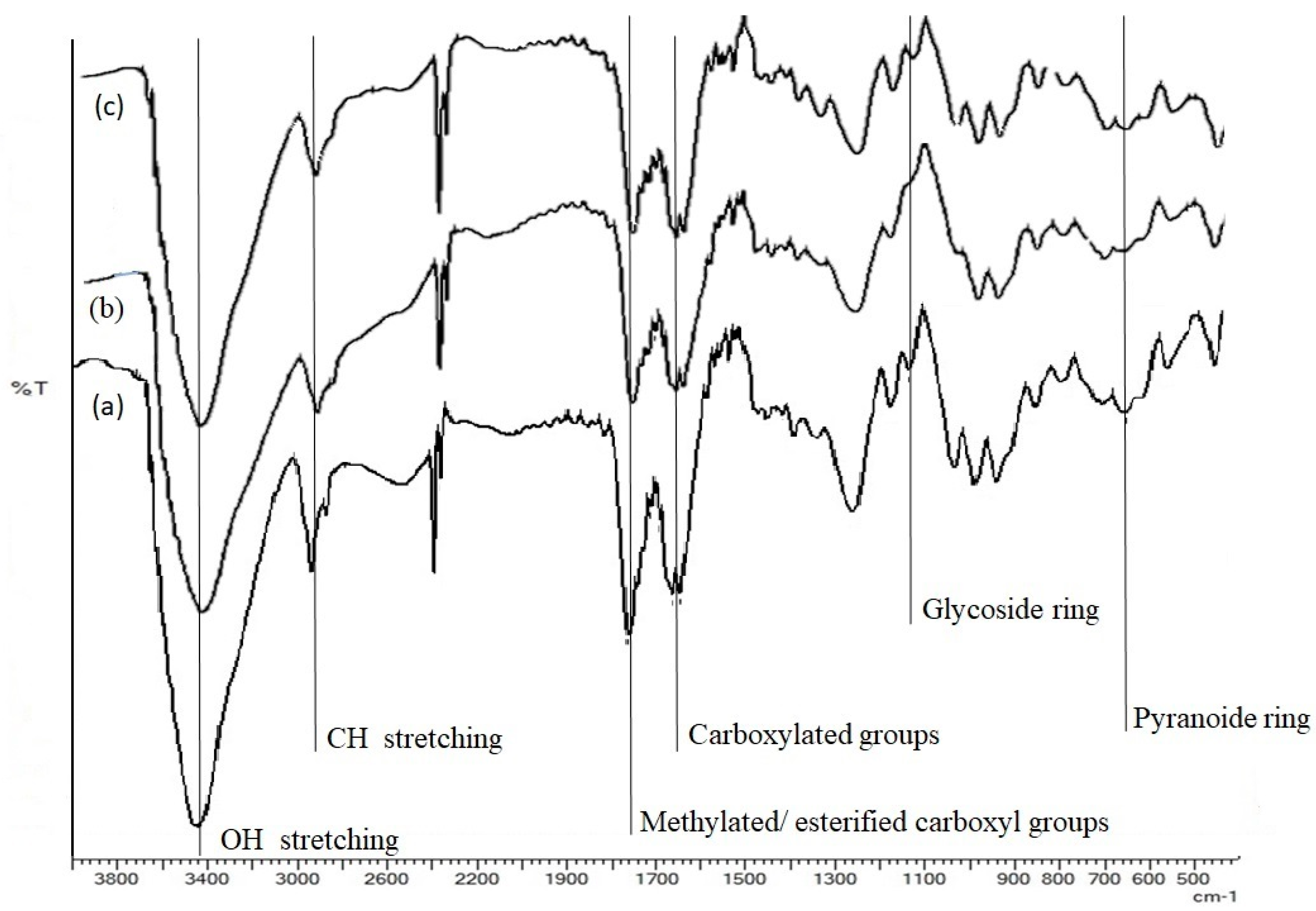 Molecules 25 02706 g001