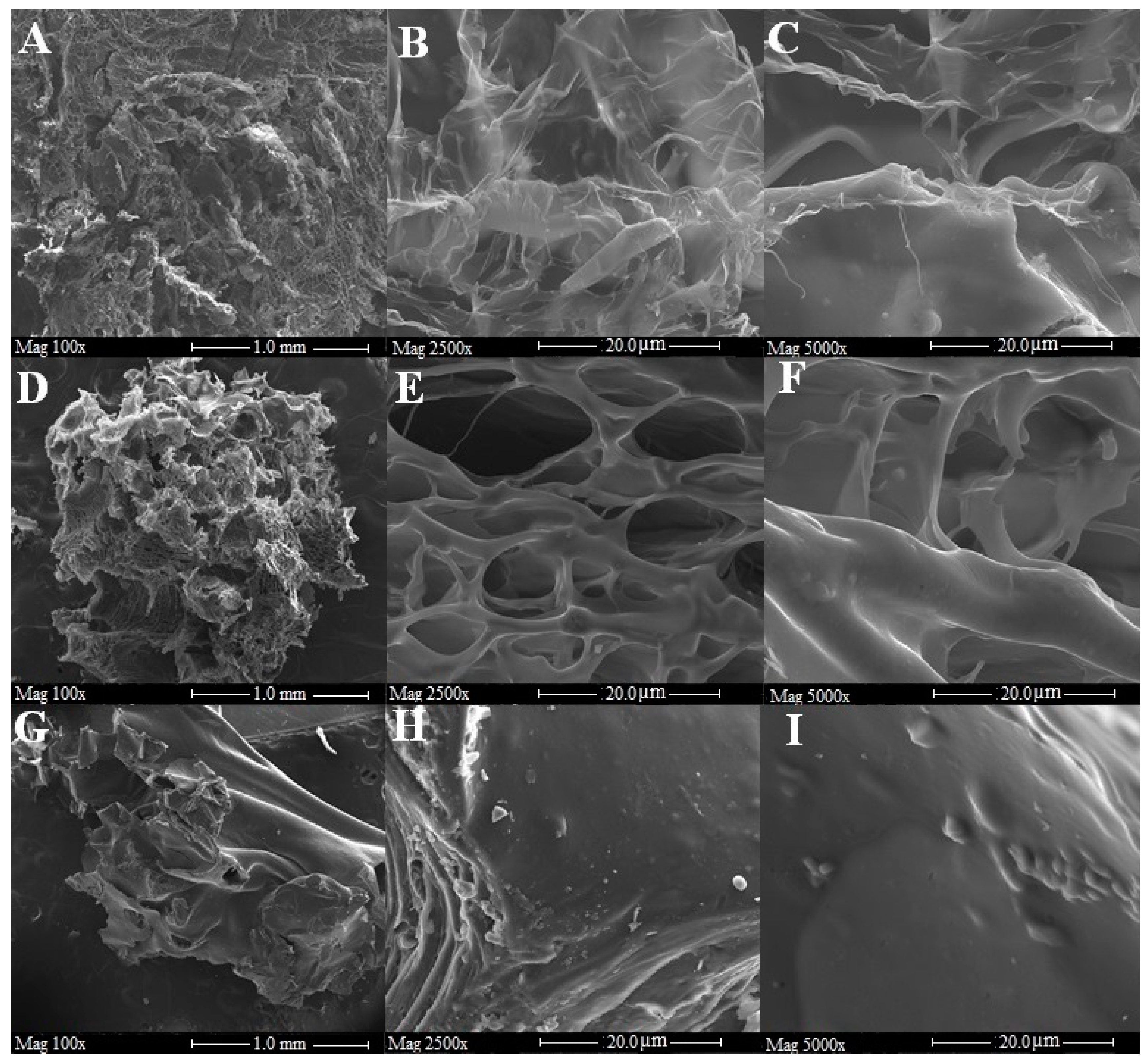 Molecules 25 02706 g002