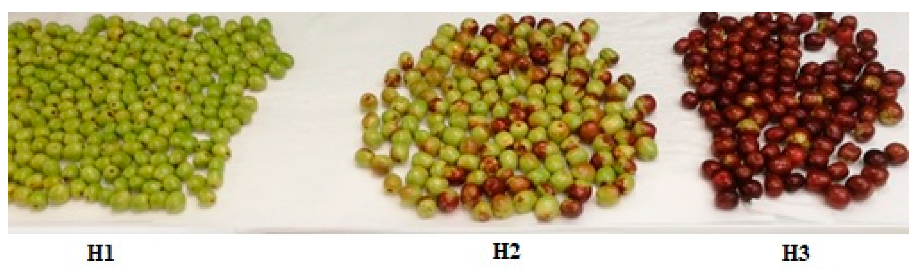 Molecules 25 02706 g006