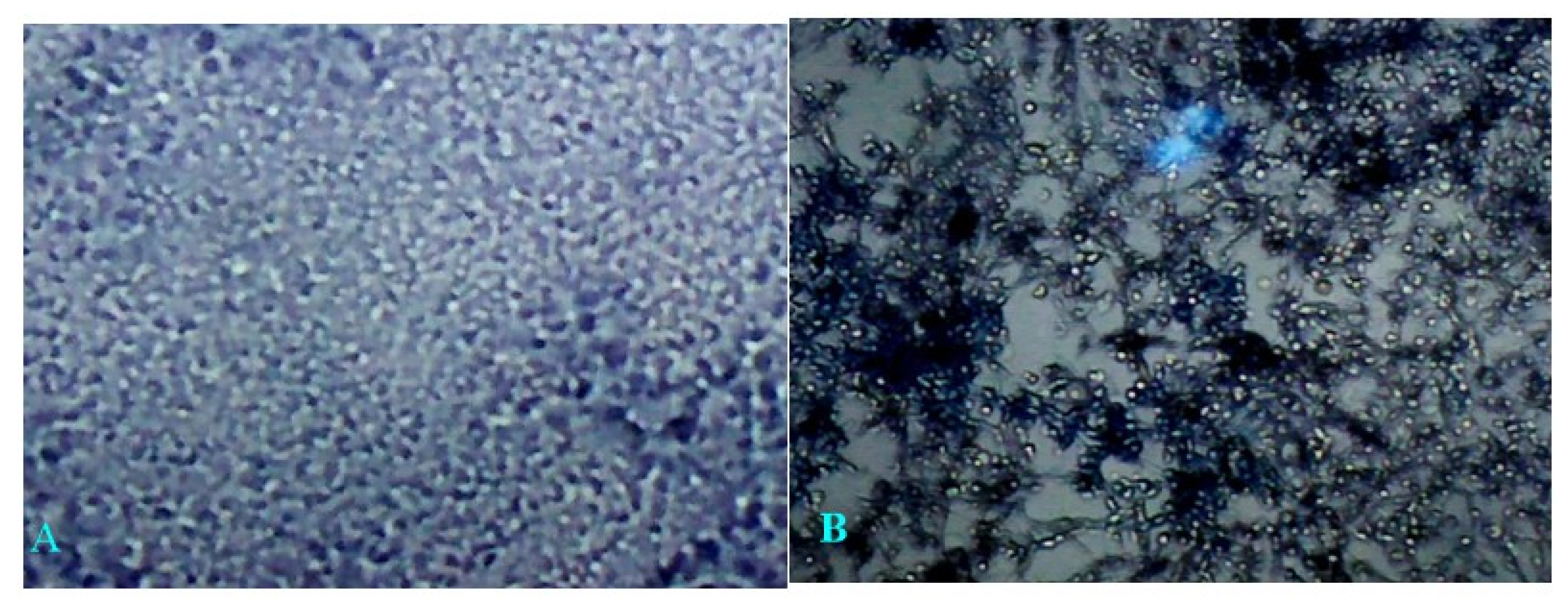 Molecules 25 02710 g007