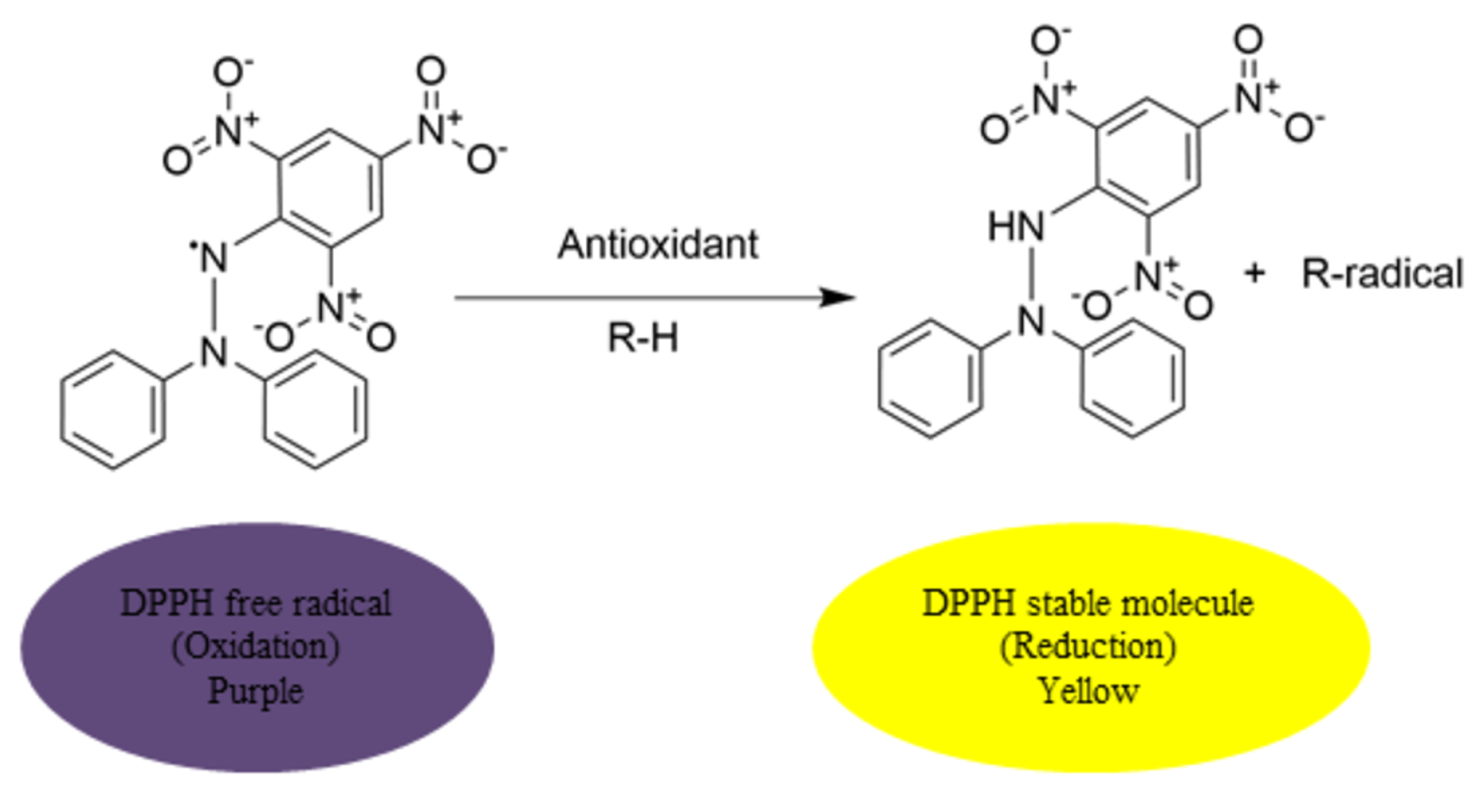 Molecules 25 02710 sch002