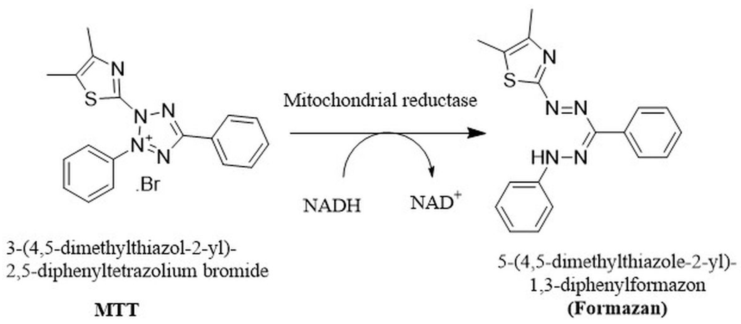 Molecules 25 02710 sch003