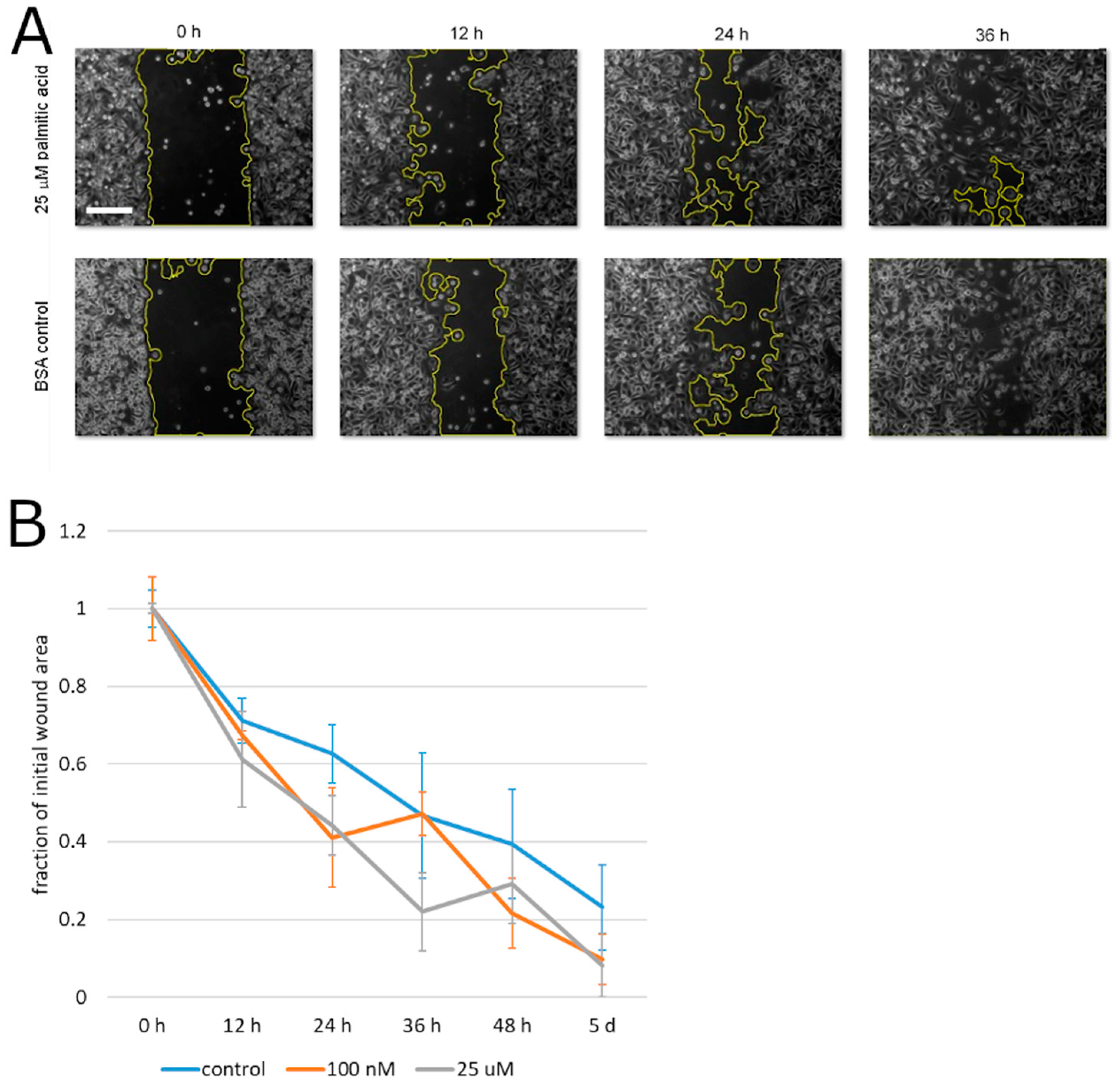 Molecules 25 02722 g003 Molecules 25 02722 g003