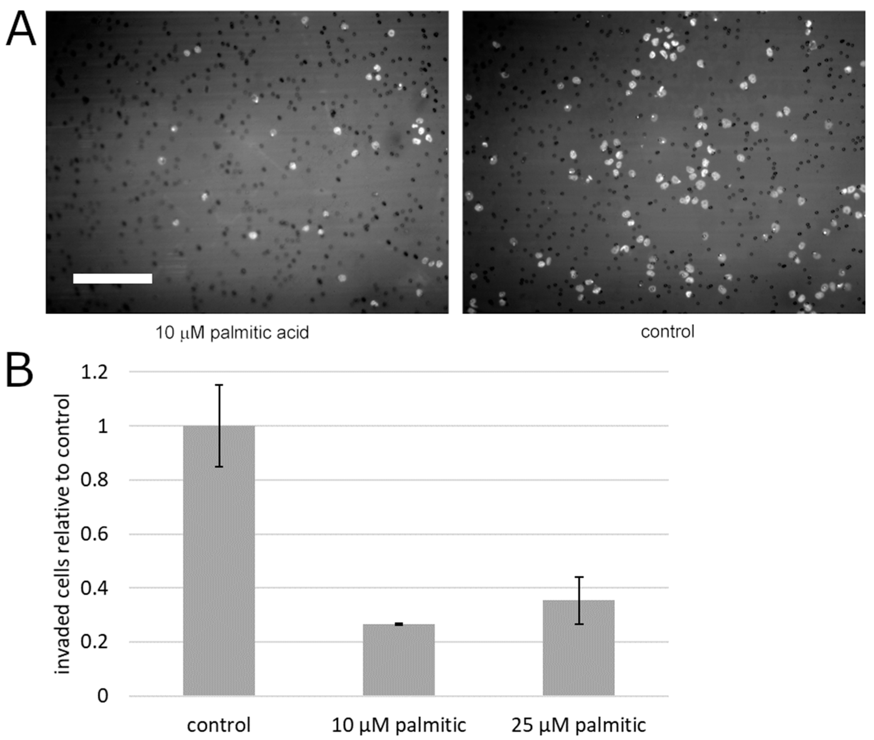 Molecules 25 02722 g004 Molecules 25 02722 g004