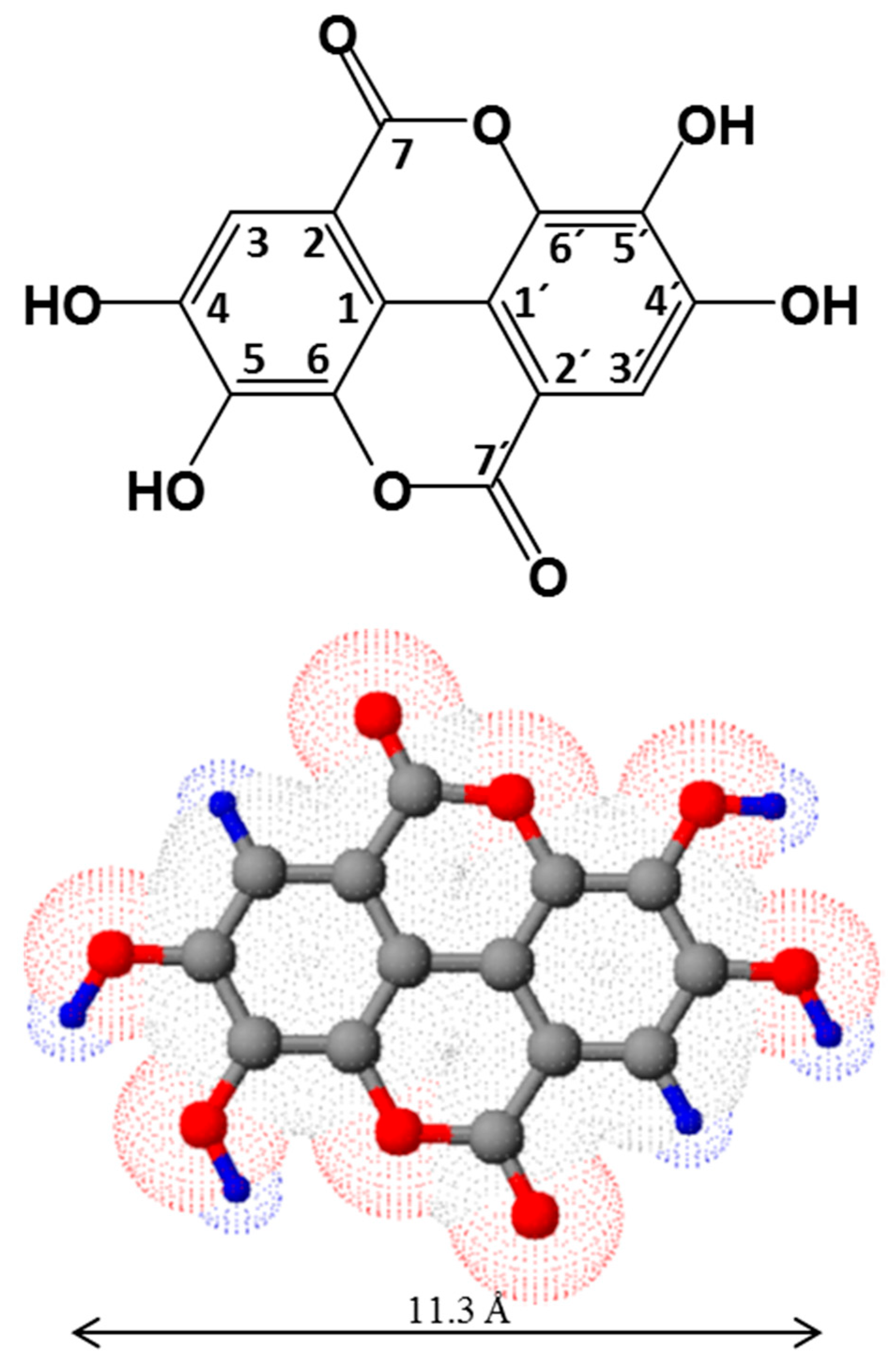Molecules 25 02745 g001
