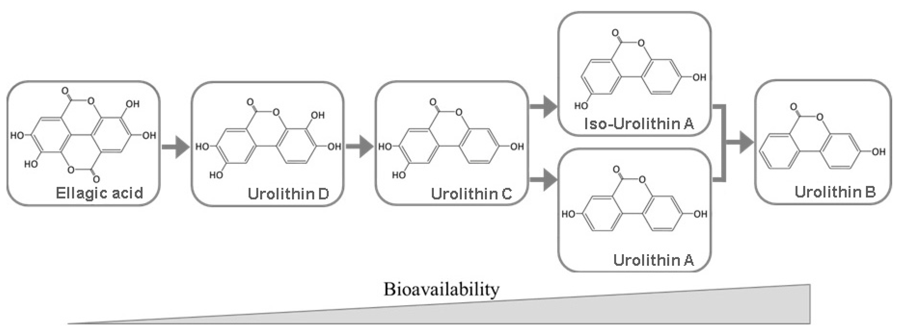 Molecules 25 02745 g003