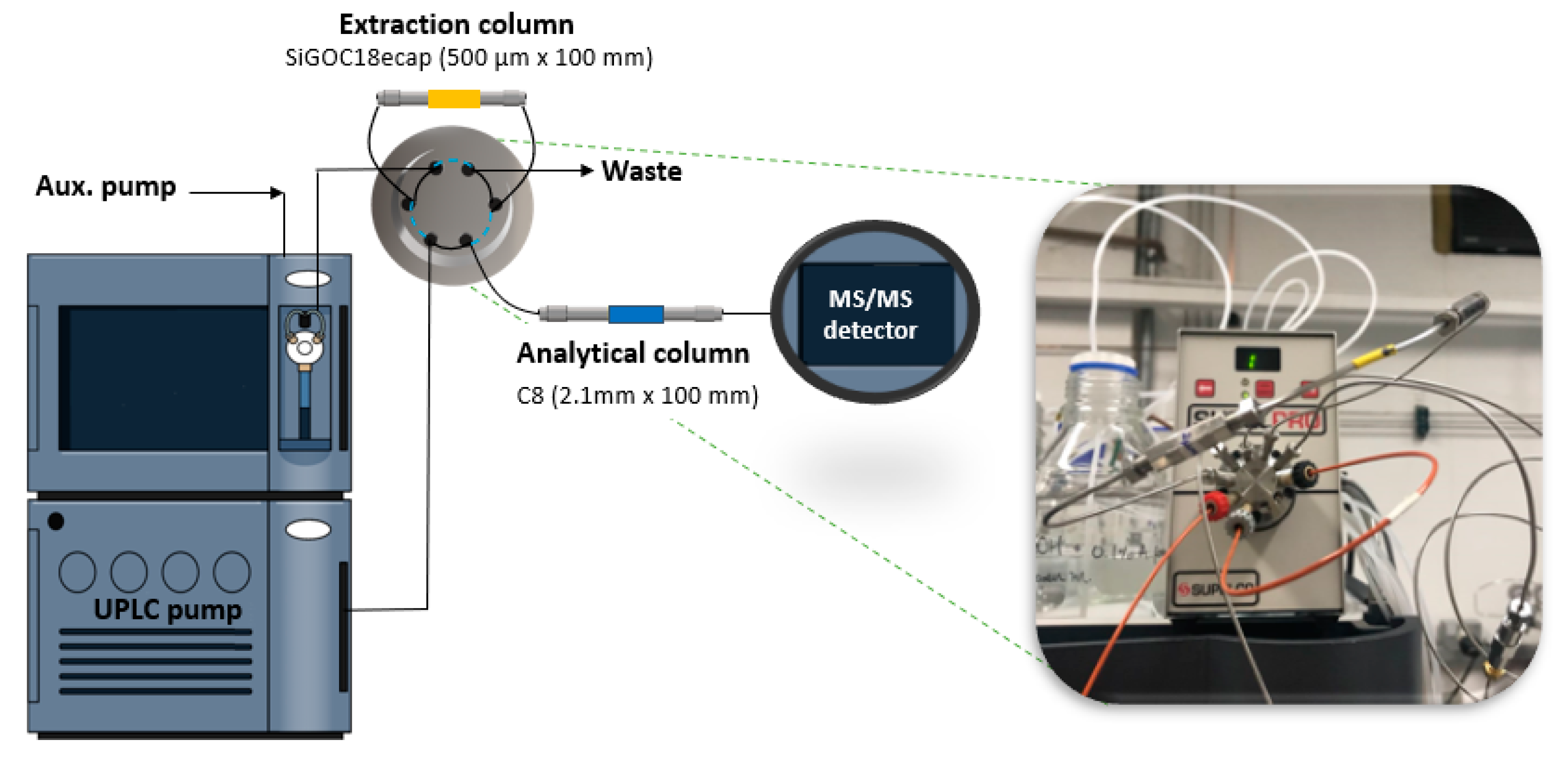 Molecules 25 02756 g006 Molecules 25 02756 g006