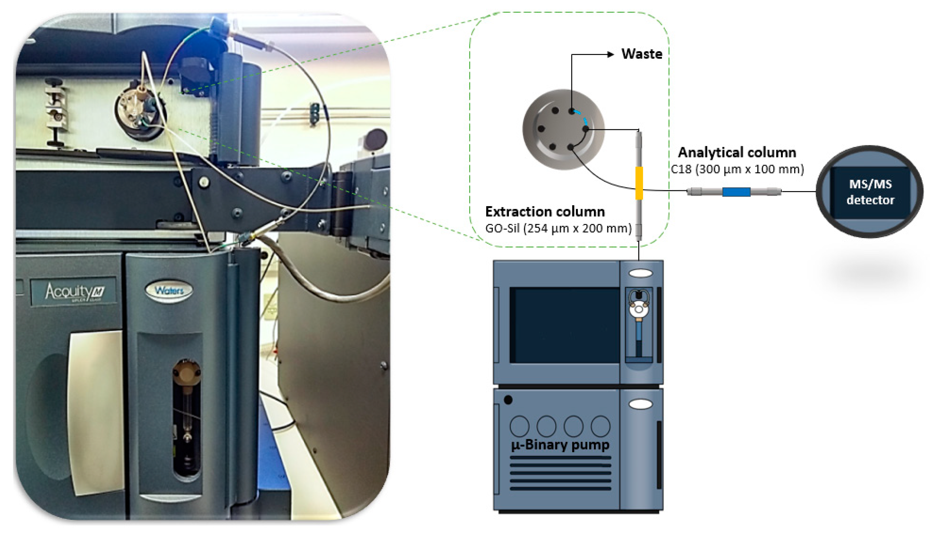 Molecules 25 02756 g007 Molecules 25 02756 g007