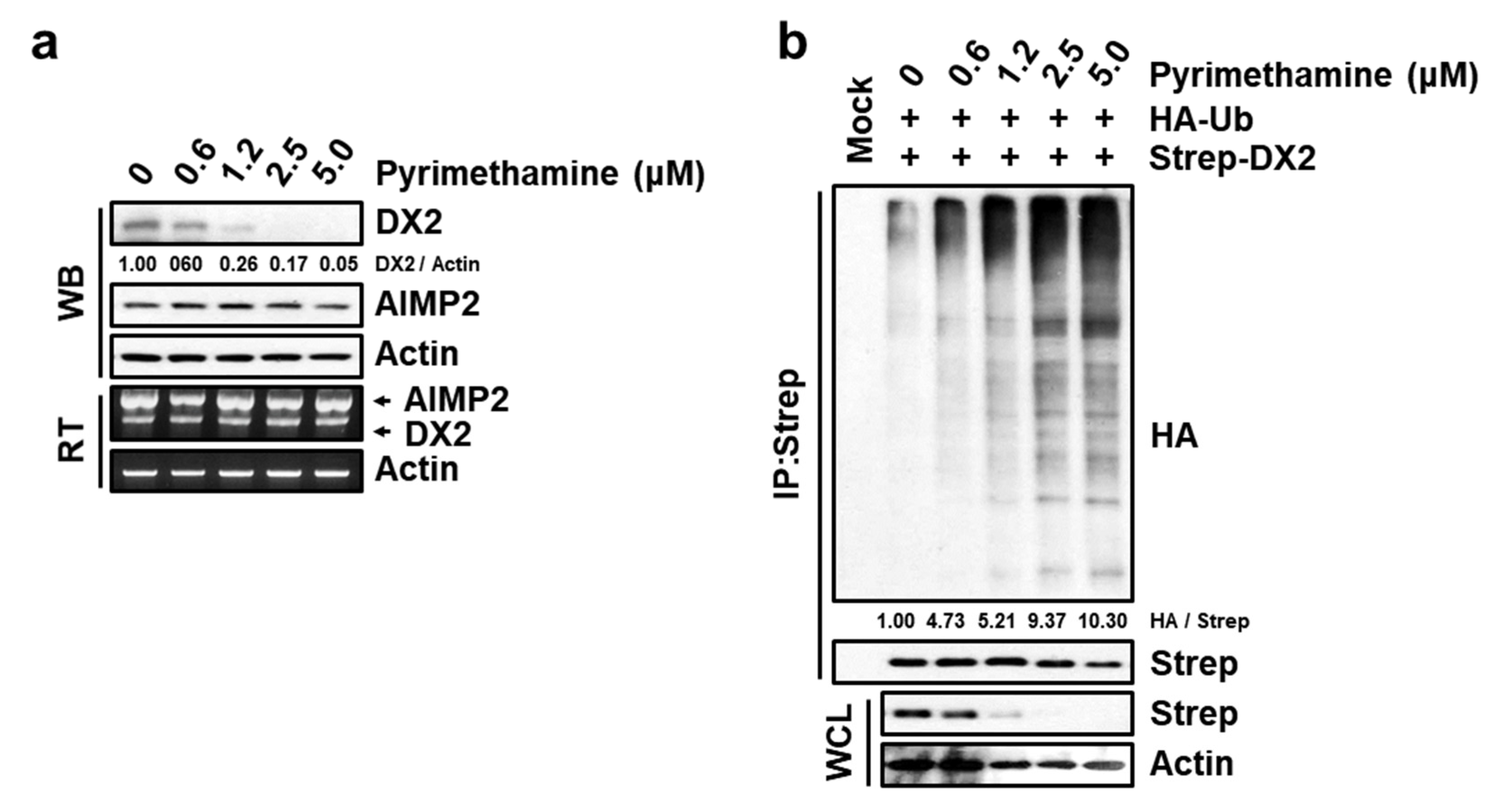 Molecules 25 02763 g004