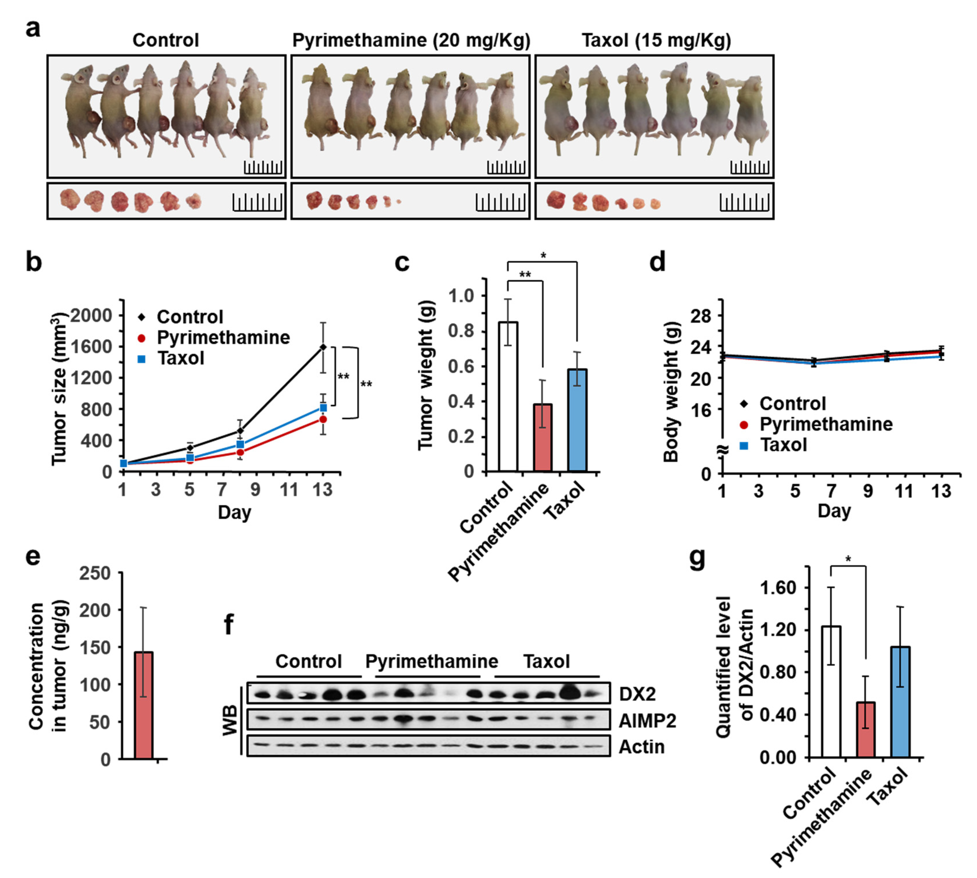 Molecules 25 02763 g005