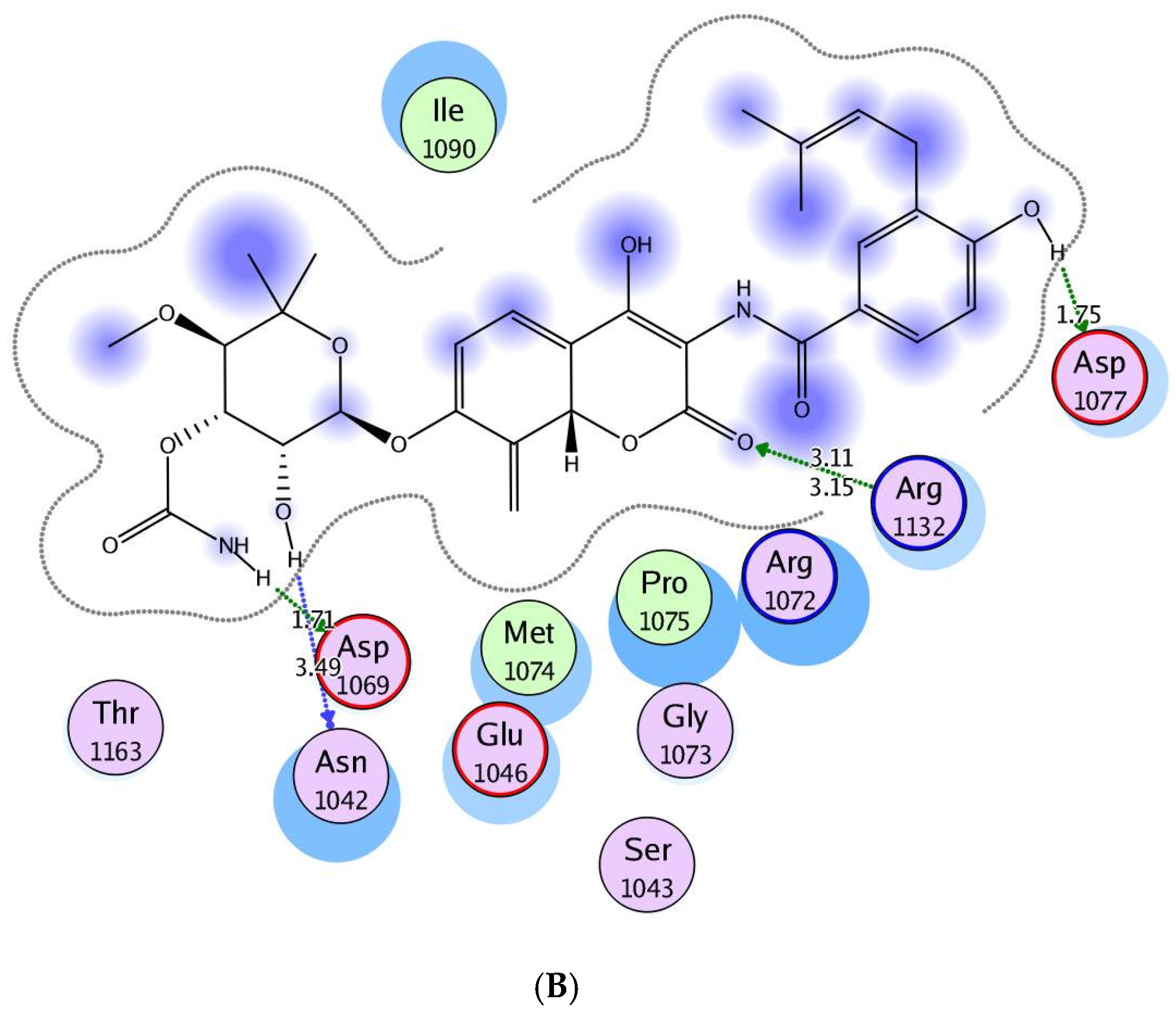 Molecules 25 02766 g003b