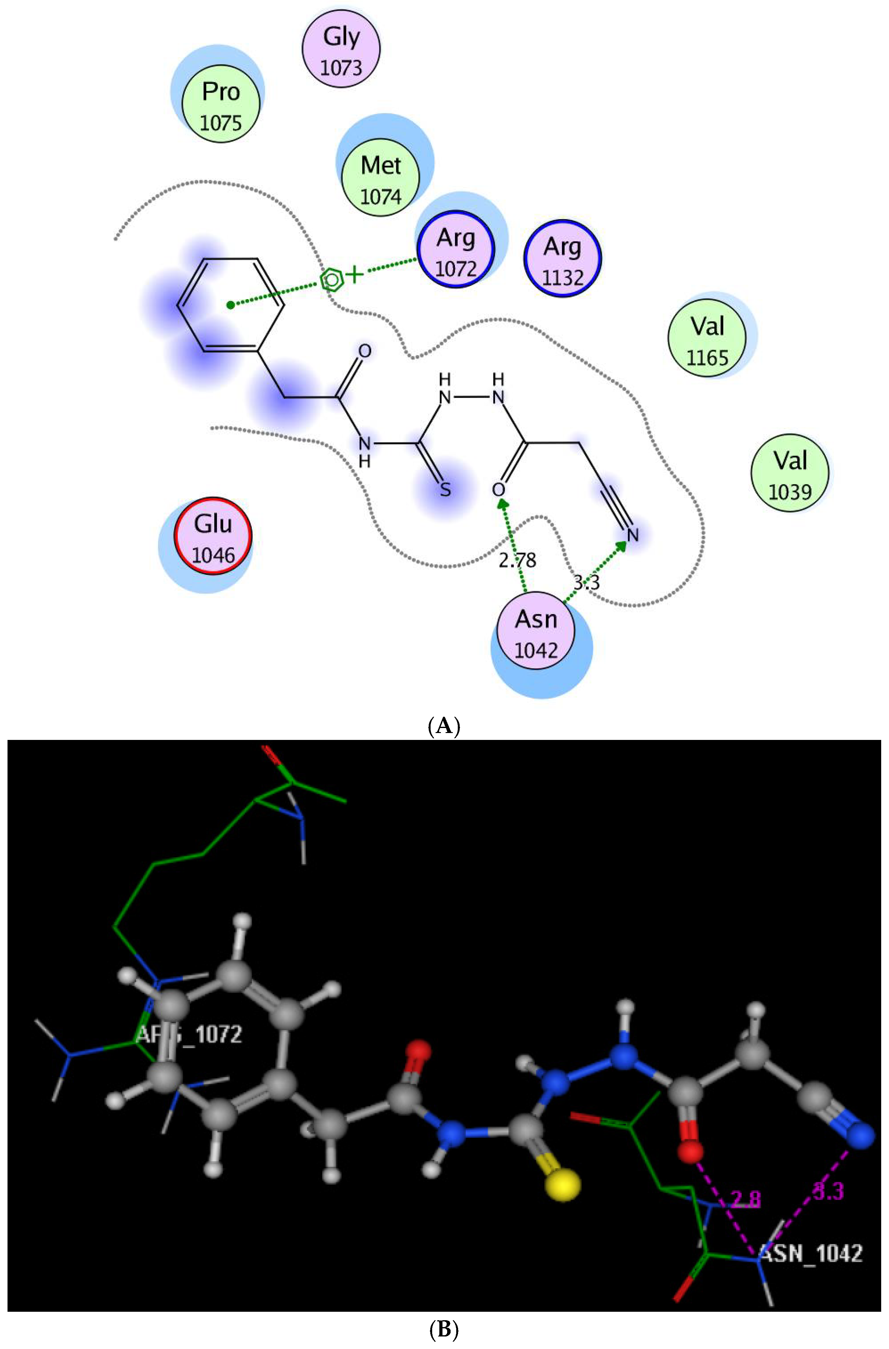 Molecules 25 02766 g005