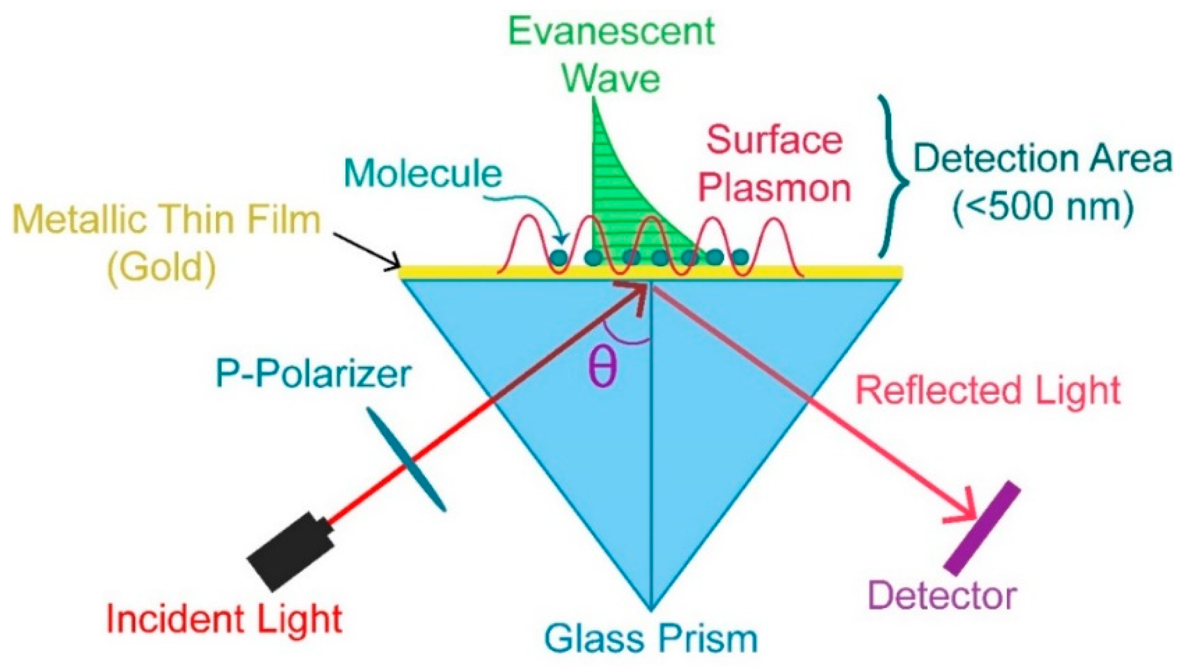 Molecules 25 02769 g001