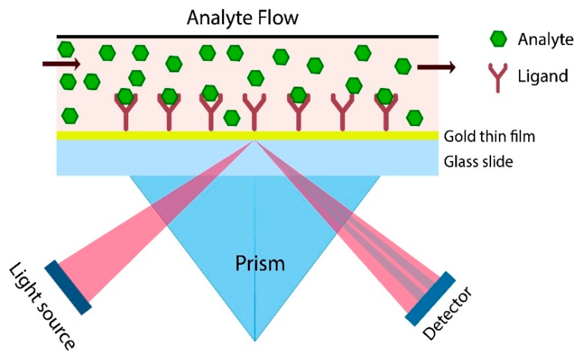 Molecules 25 02769 g003