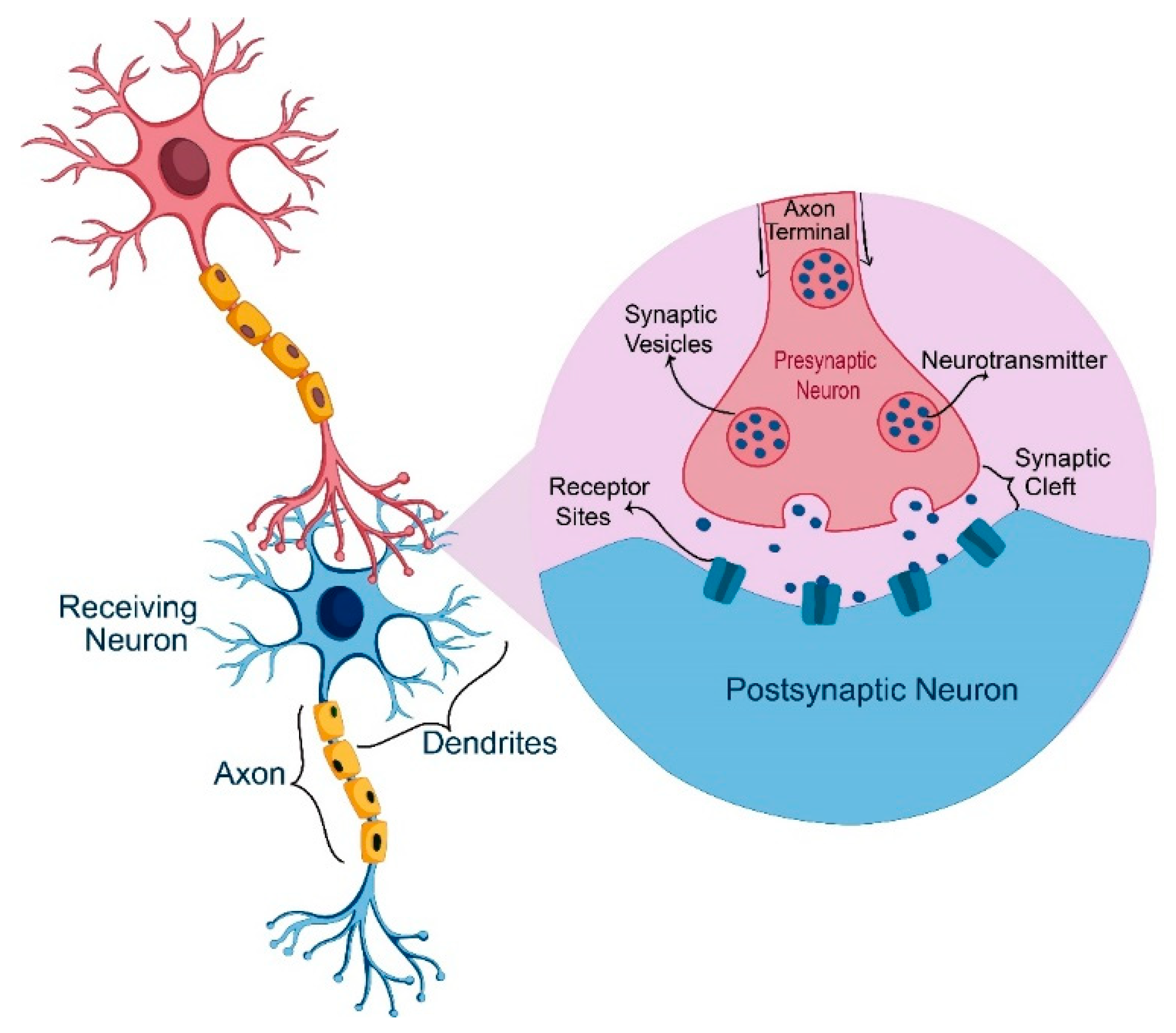 Molecules 25 02769 g005