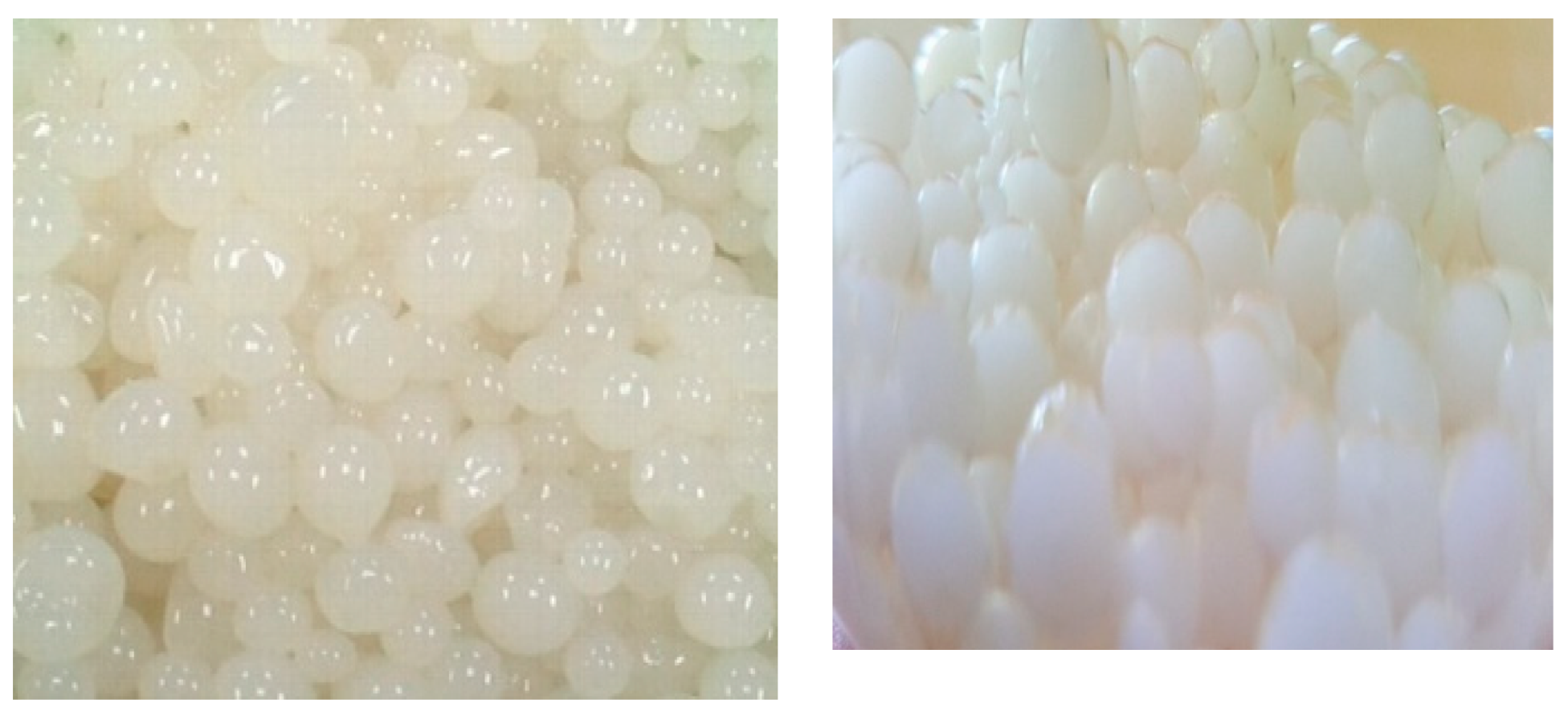 Molecules 25 02771 g005