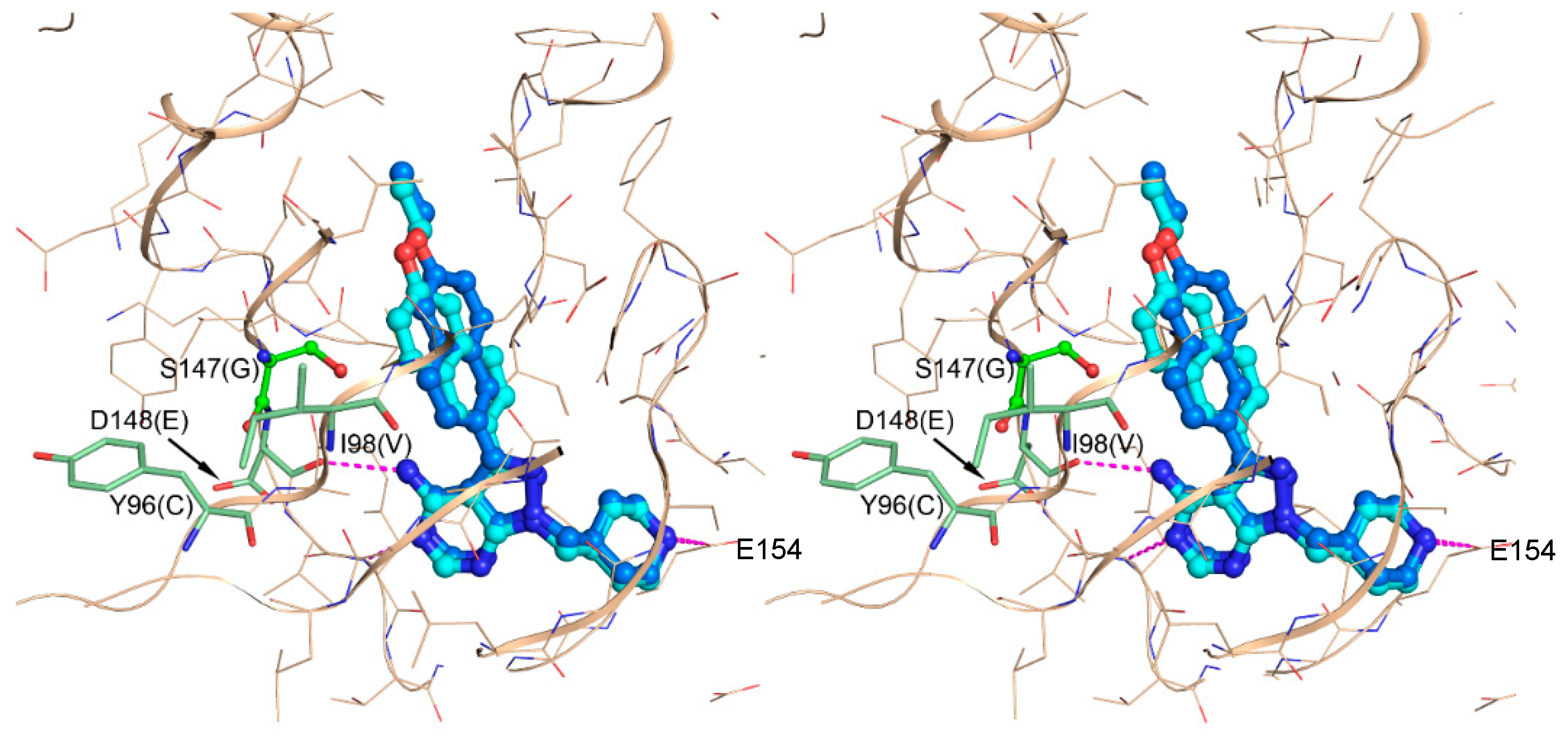 Molecules 25 02773 g003 Molecules 25 02773 g003