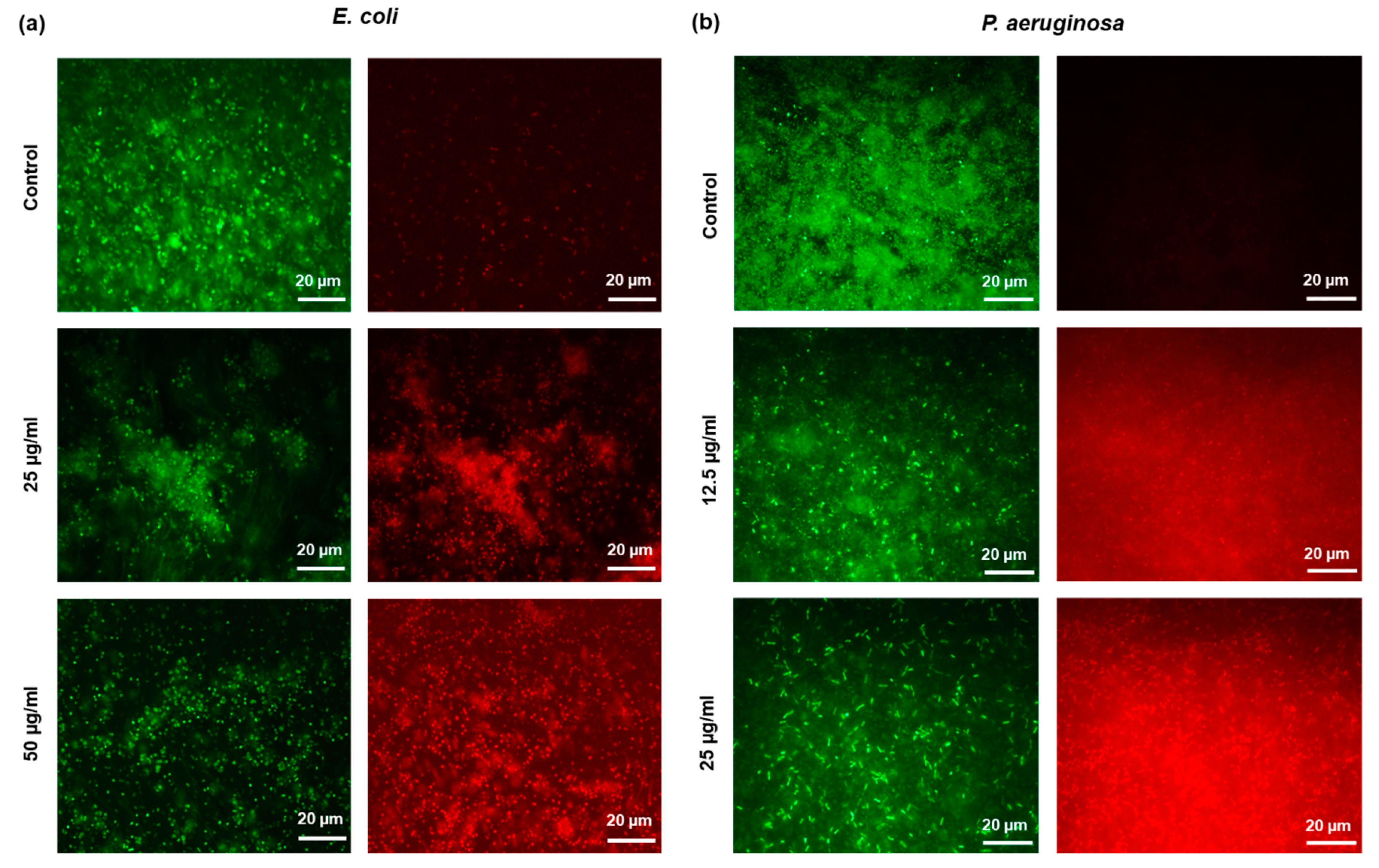 Molecules 25 02783 g007