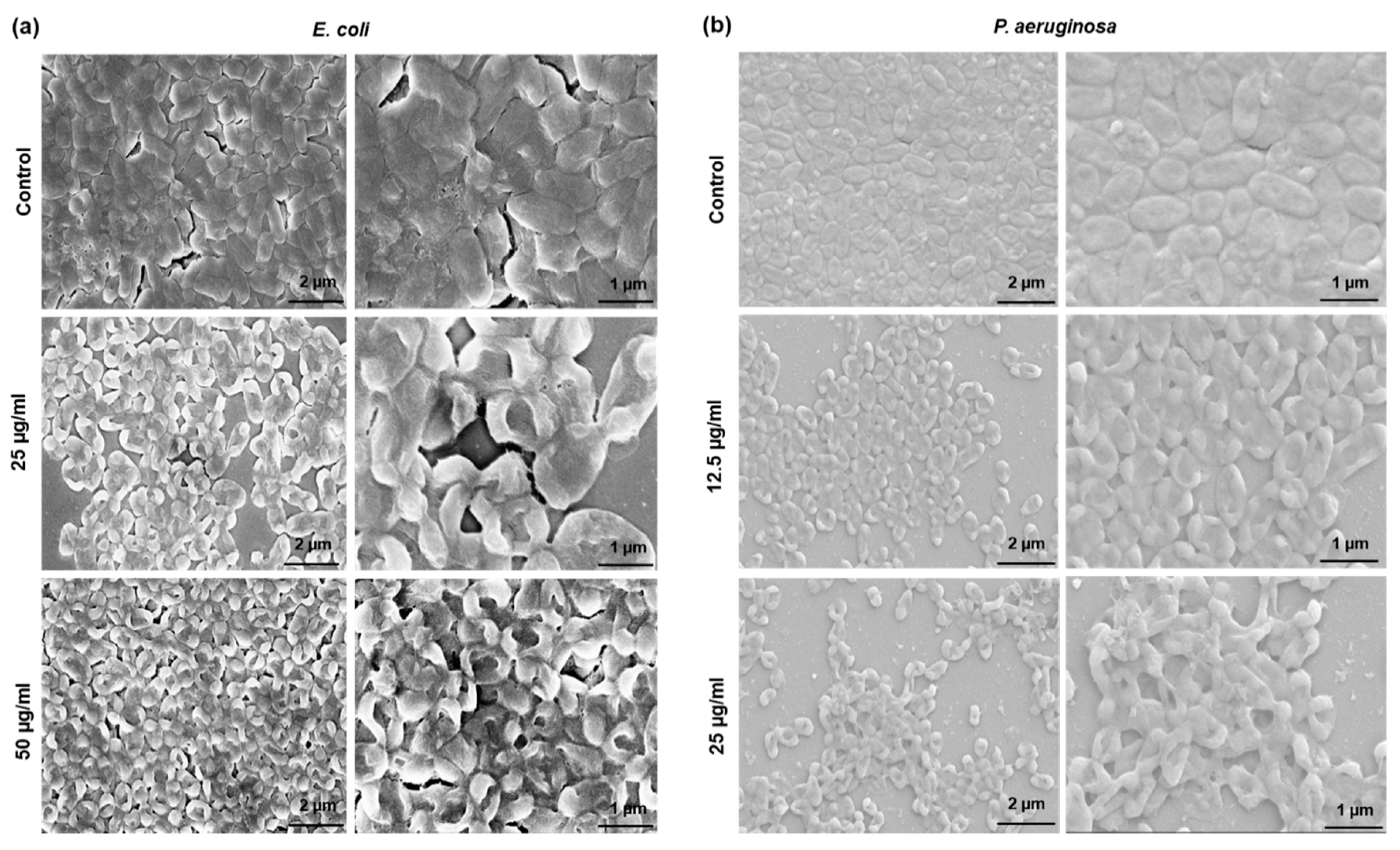 Molecules 25 02783 g008