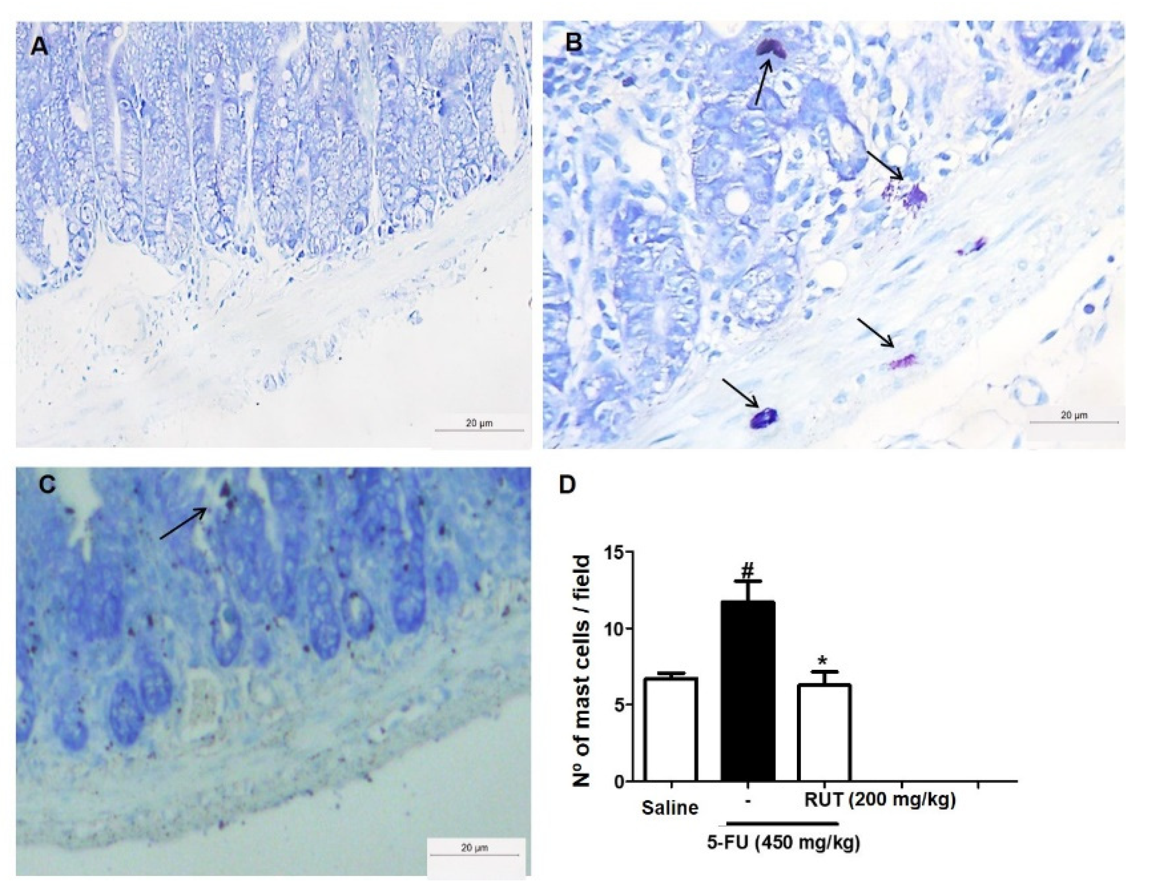 Molecules 25 02786 g009