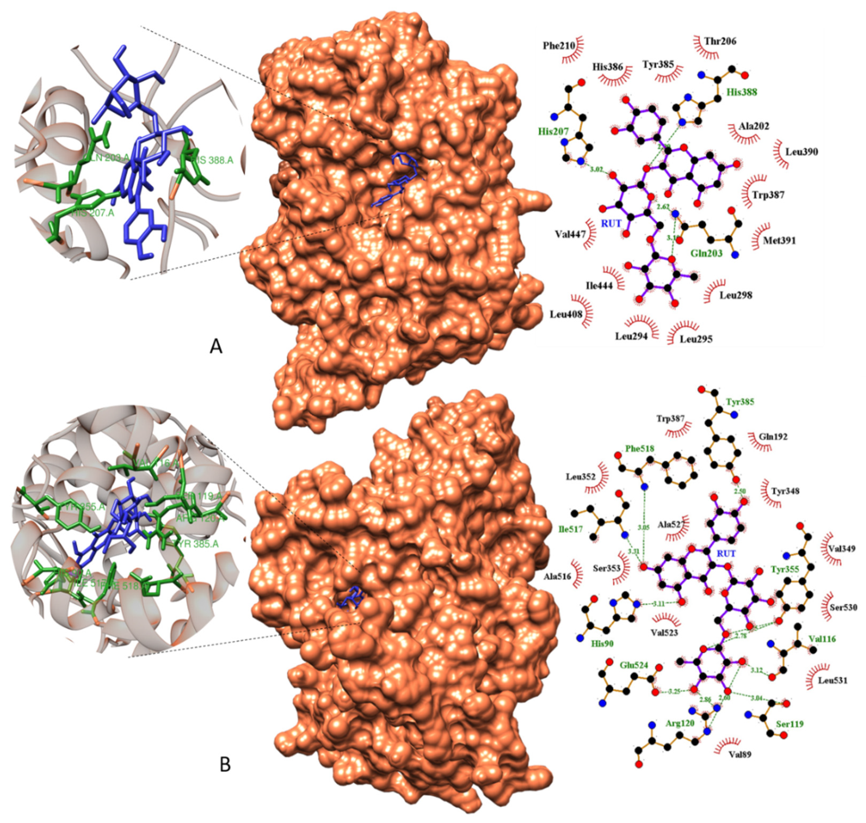 Molecules 25 02786 g013
