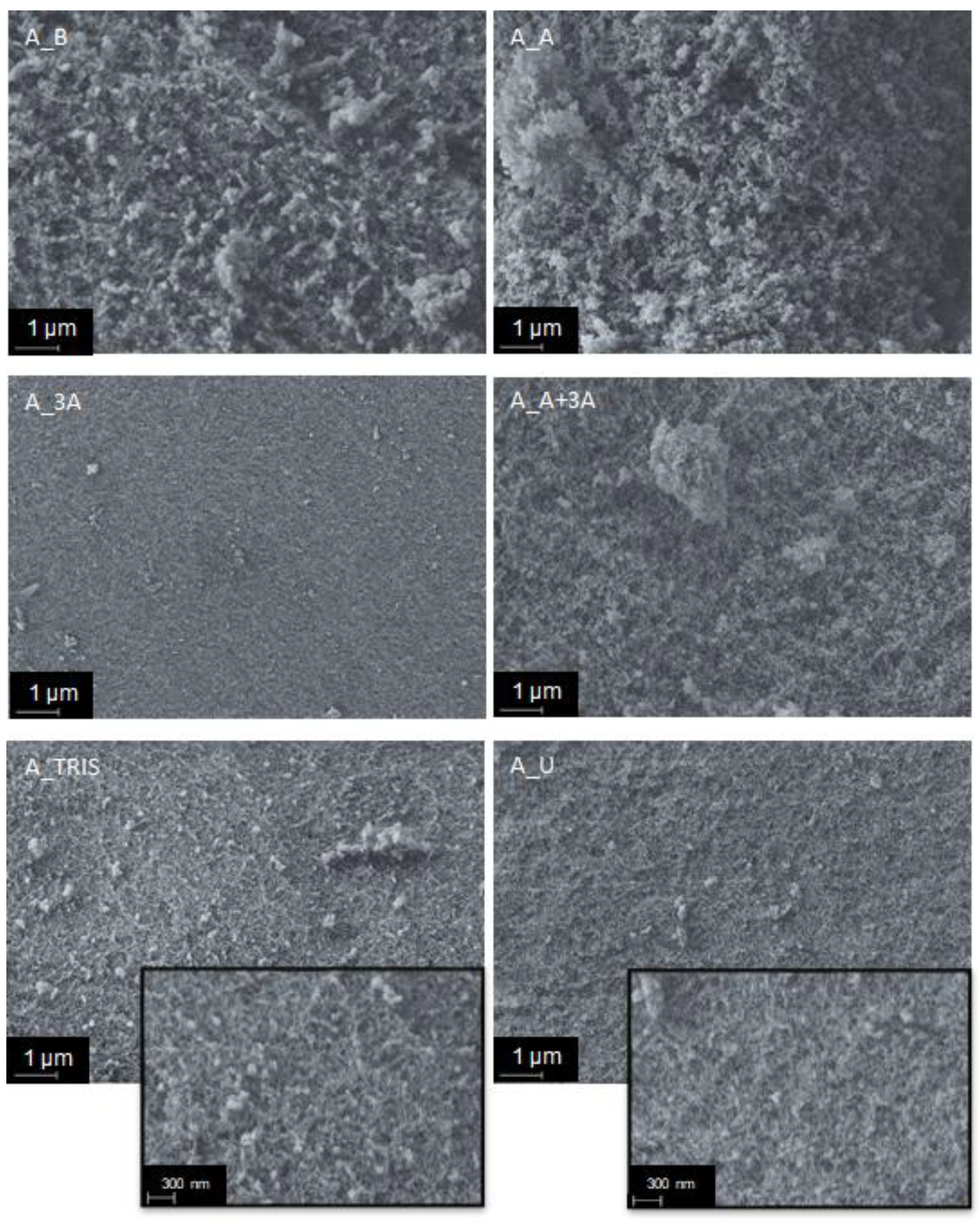 Molecules 25 02788 g002 Molecules 25 02788 g002