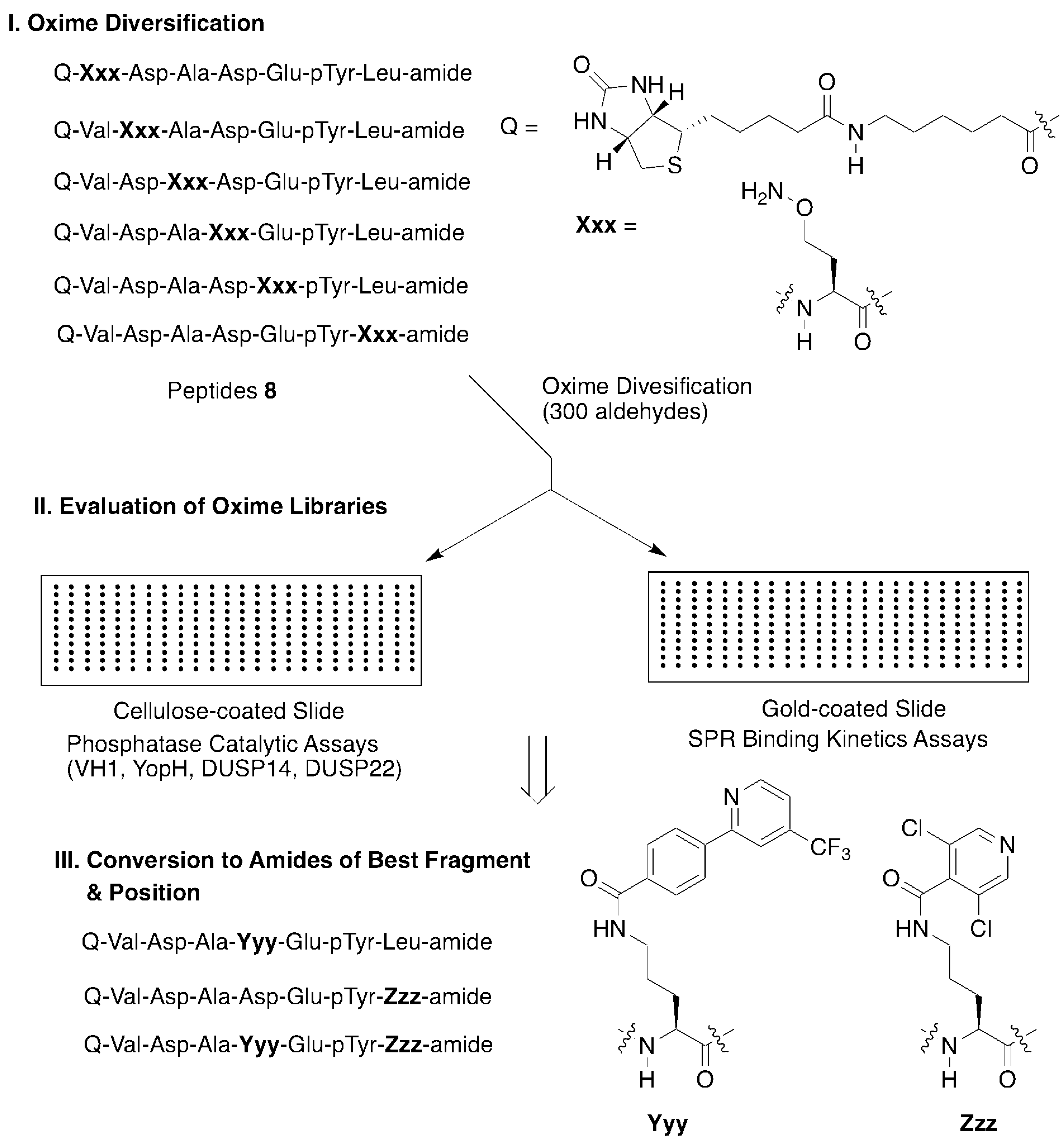 Molecules 25 02807 g005 Molecules 25 02807 g005