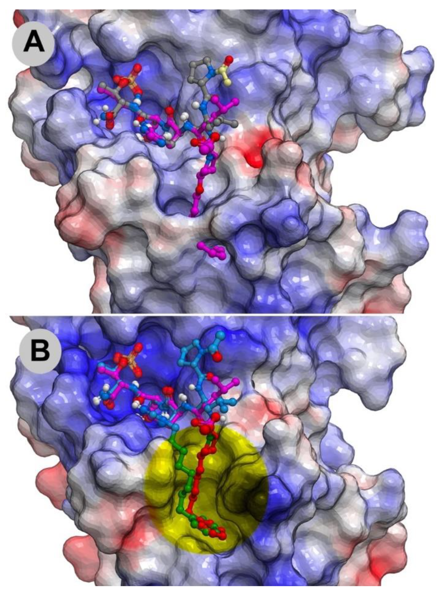 Molecules 25 02807 g007 Molecules 25 02807 g007