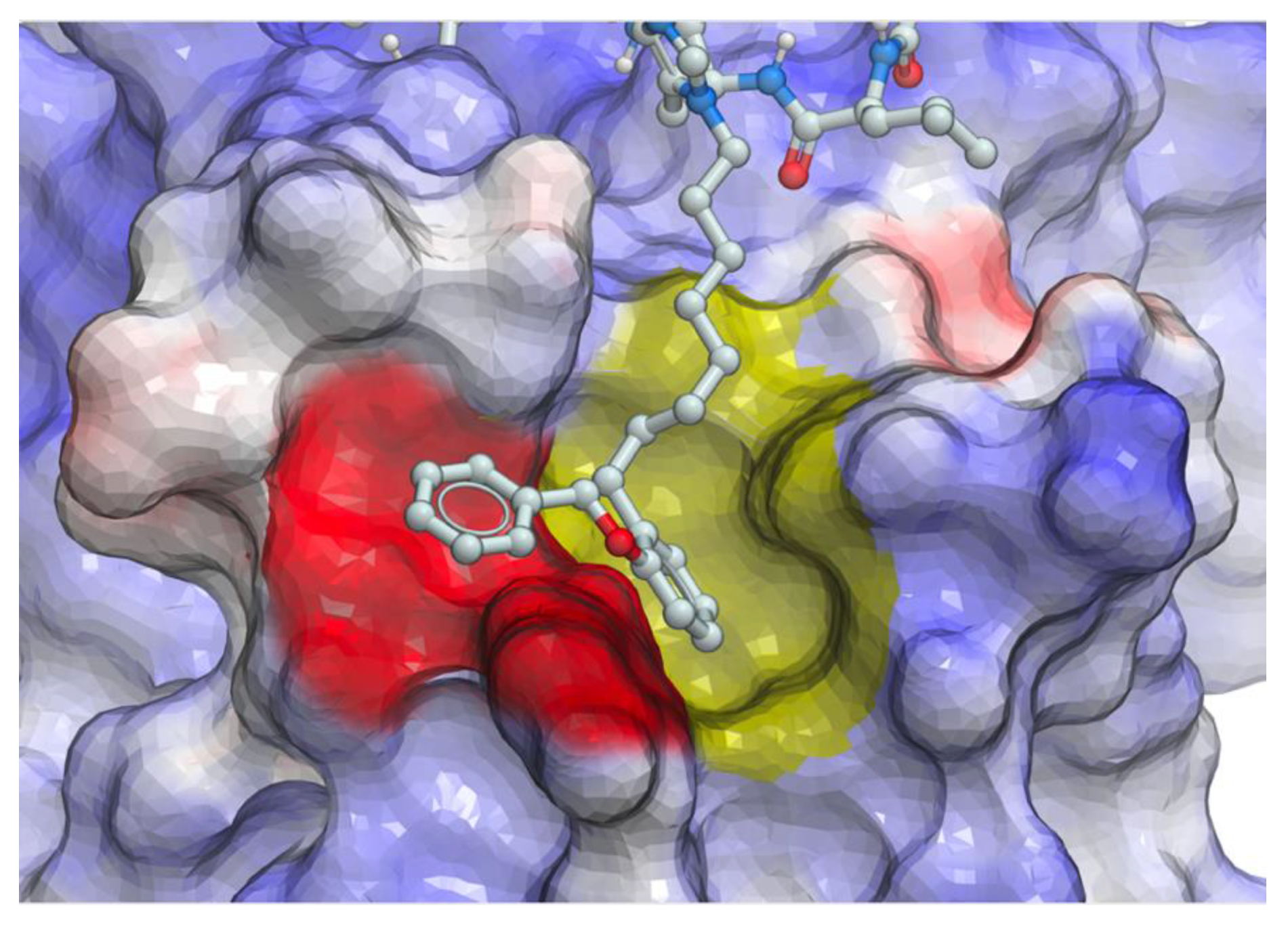 Molecules 25 02807 g009 Molecules 25 02807 g009