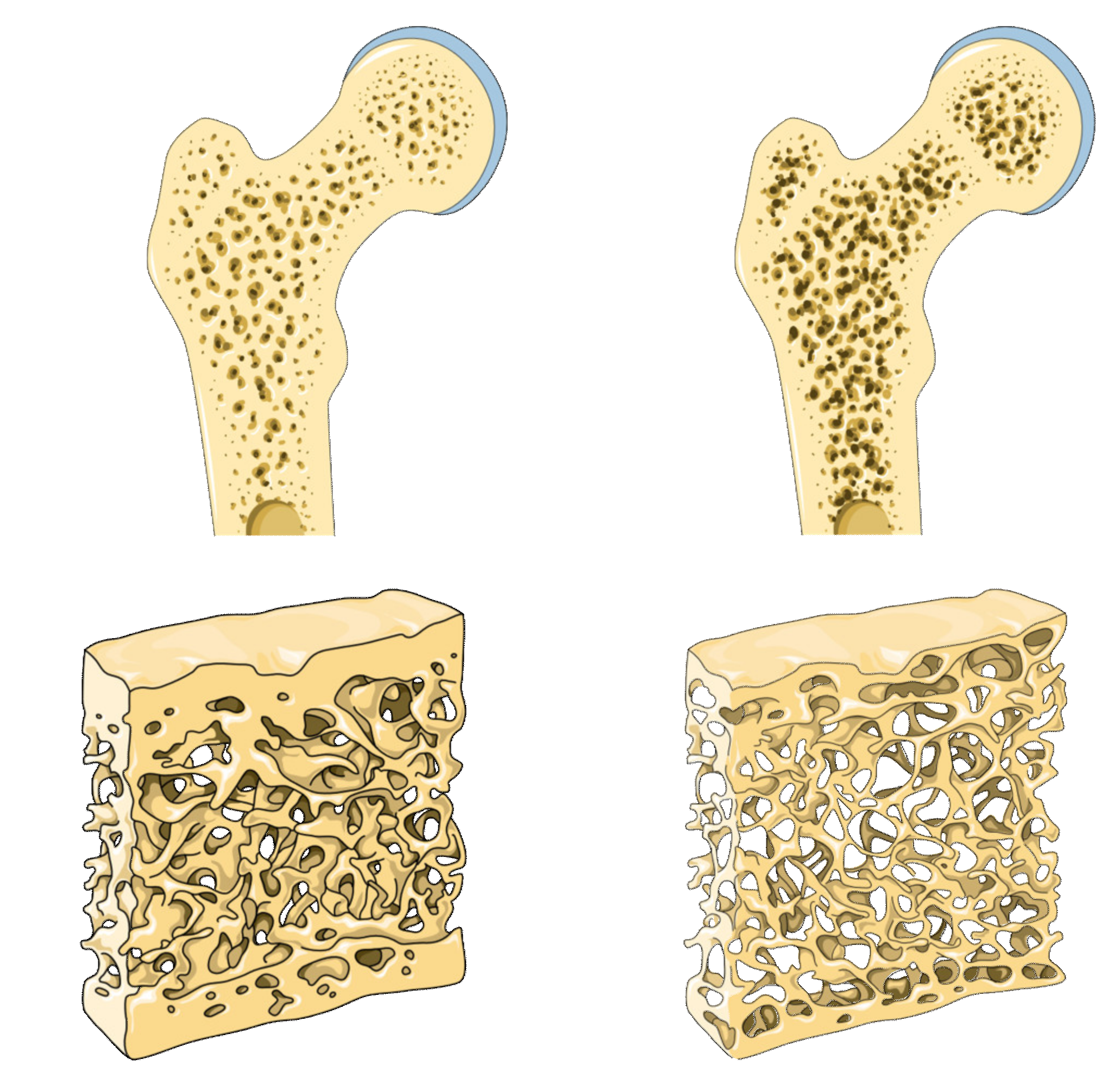 Molecules 25 02821 g002