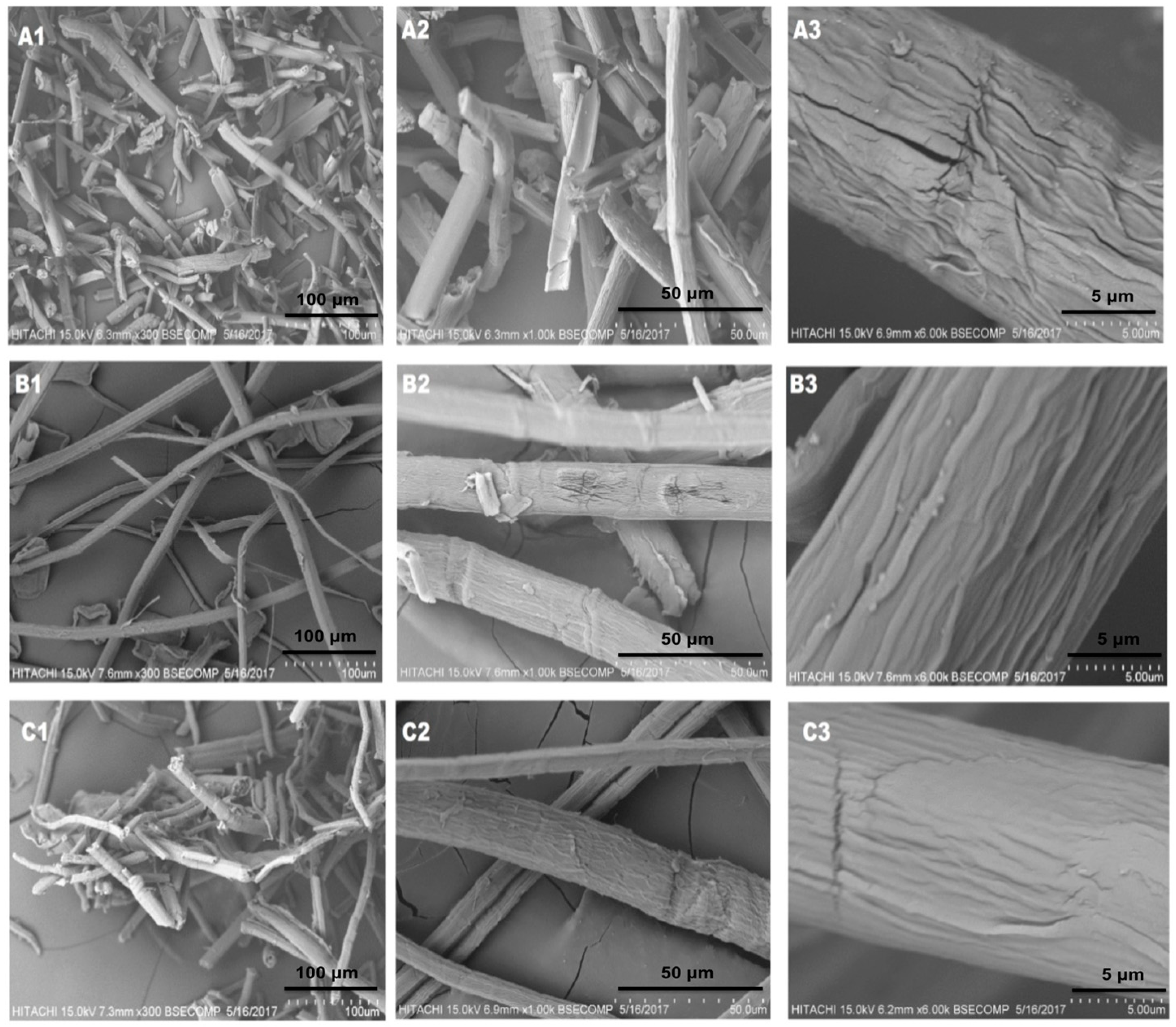 Molecules 25 02824 g002
