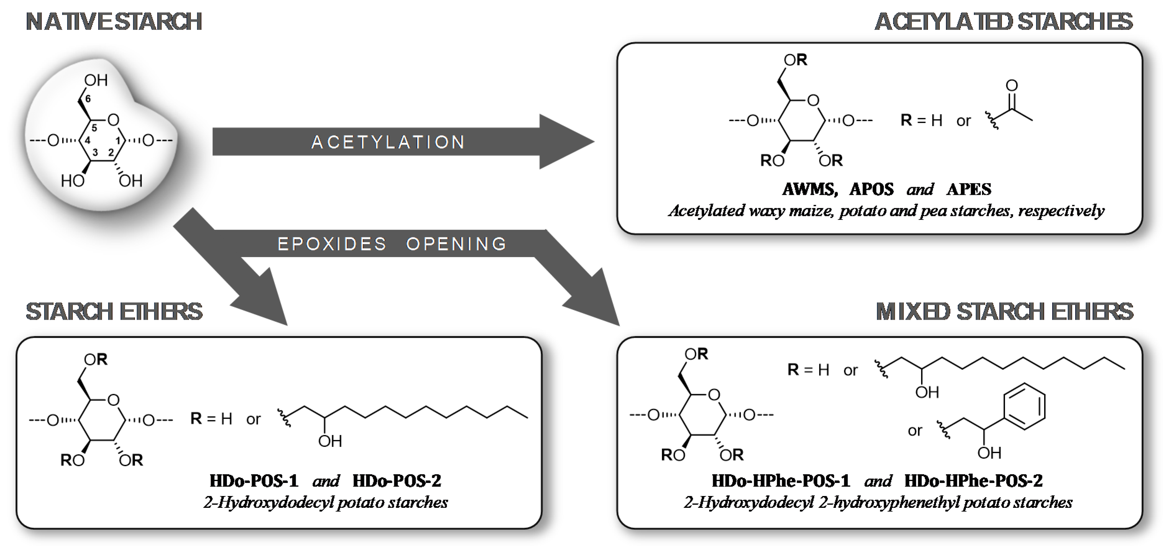 Molecules 25 02827 g001 Molecules 25 02827 g001