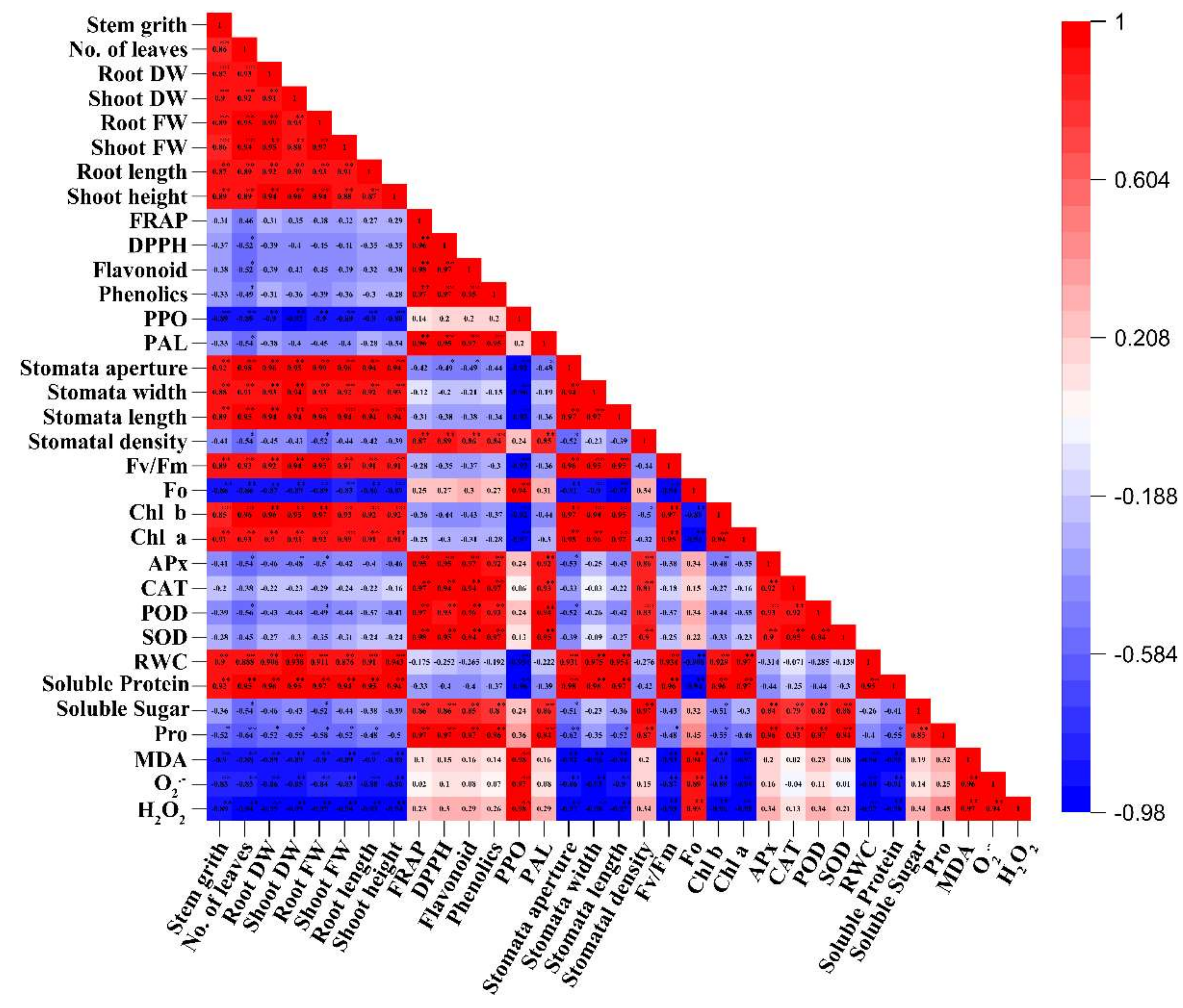Molecules 25 02828 g007