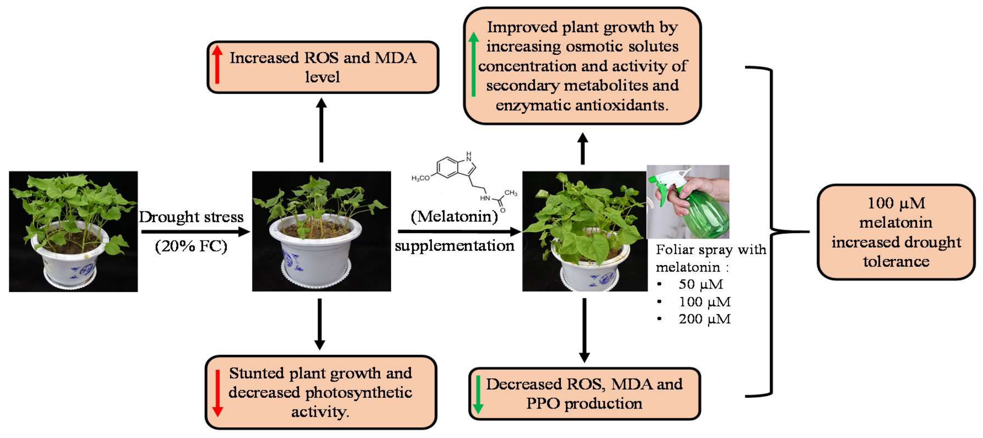 Molecules 25 02828 g009