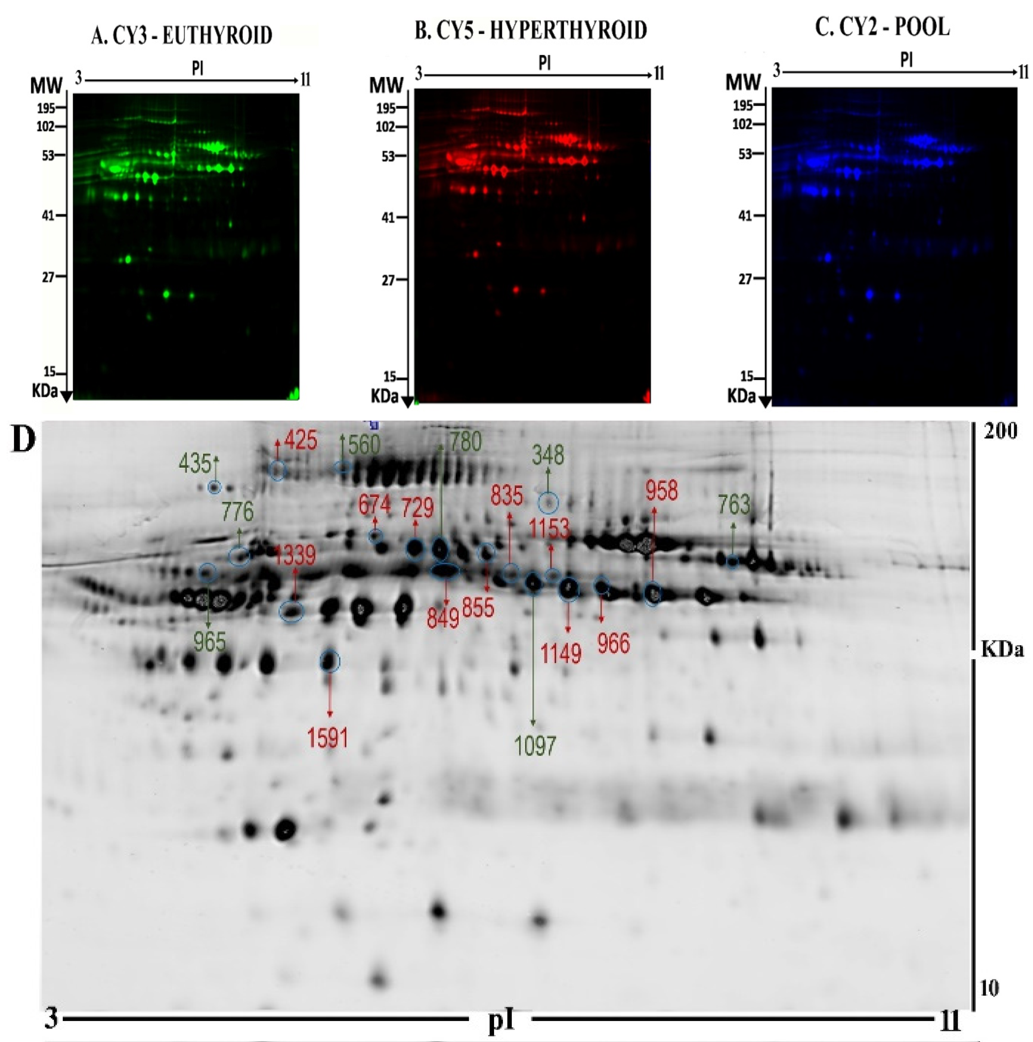 Molecules 25 02831 g001