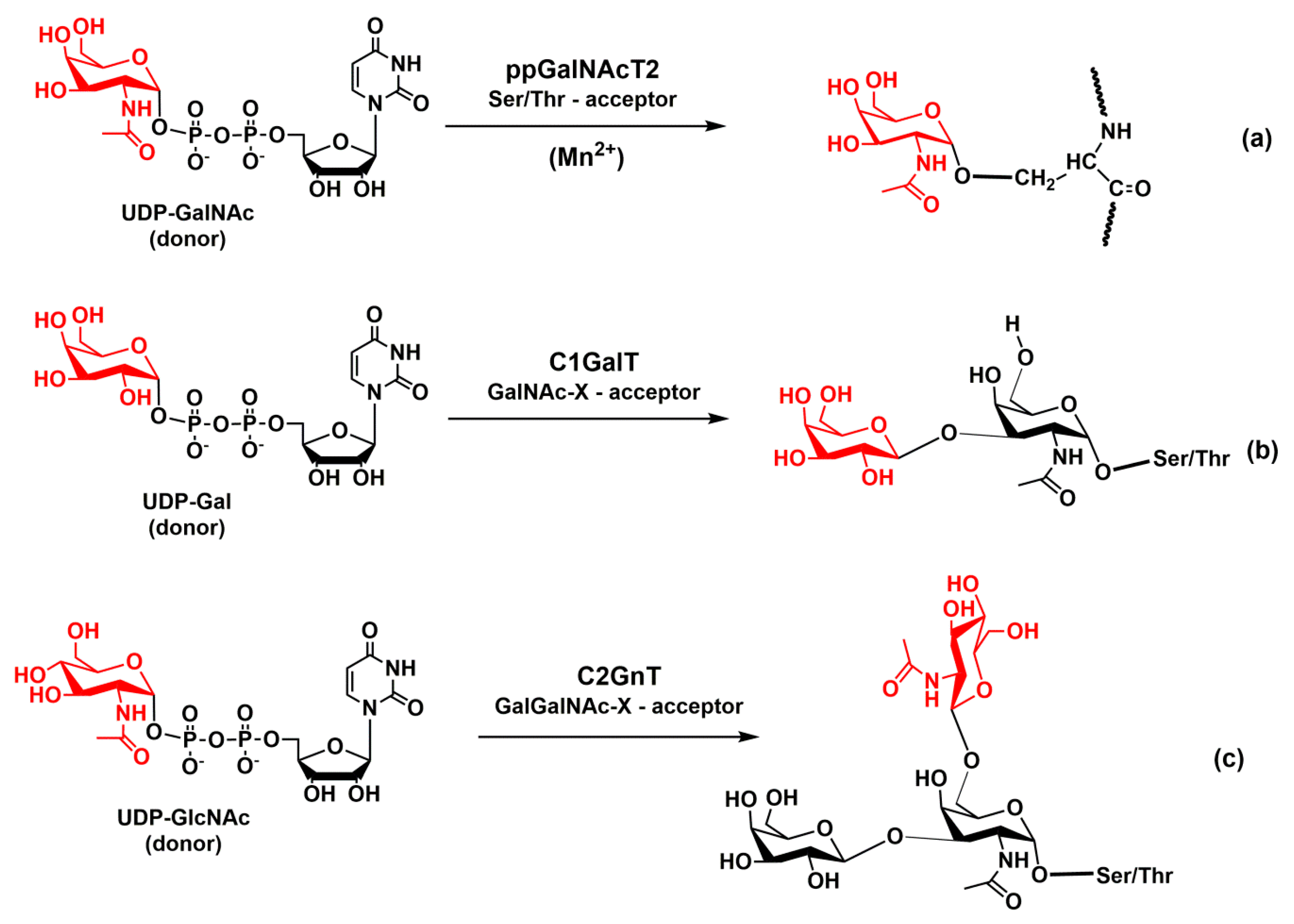 Molecules 25 02835 g007 Molecules 25 02835 g007
