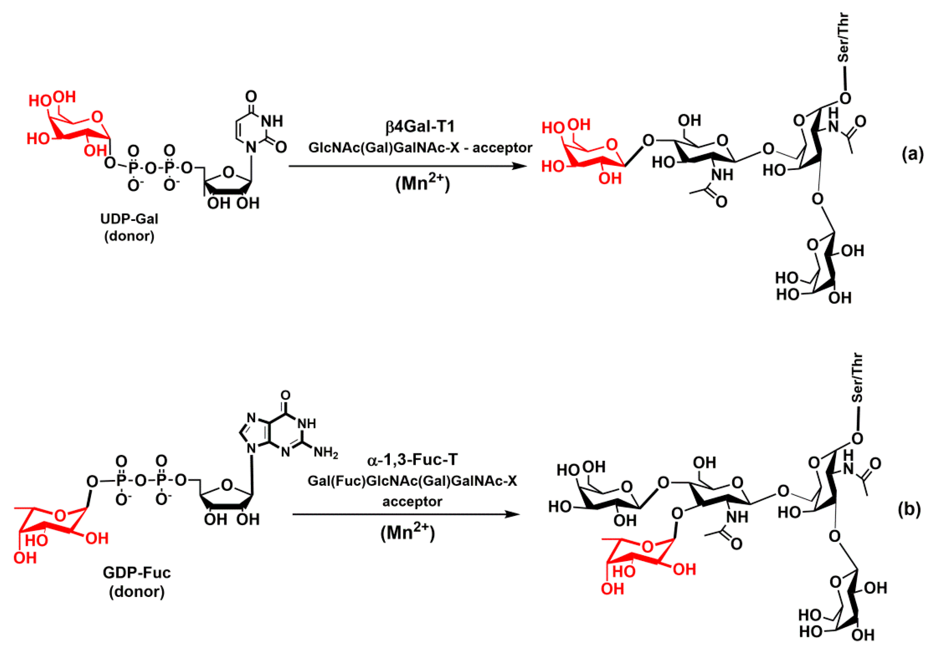 Molecules 25 02835 g008 Molecules 25 02835 g008
