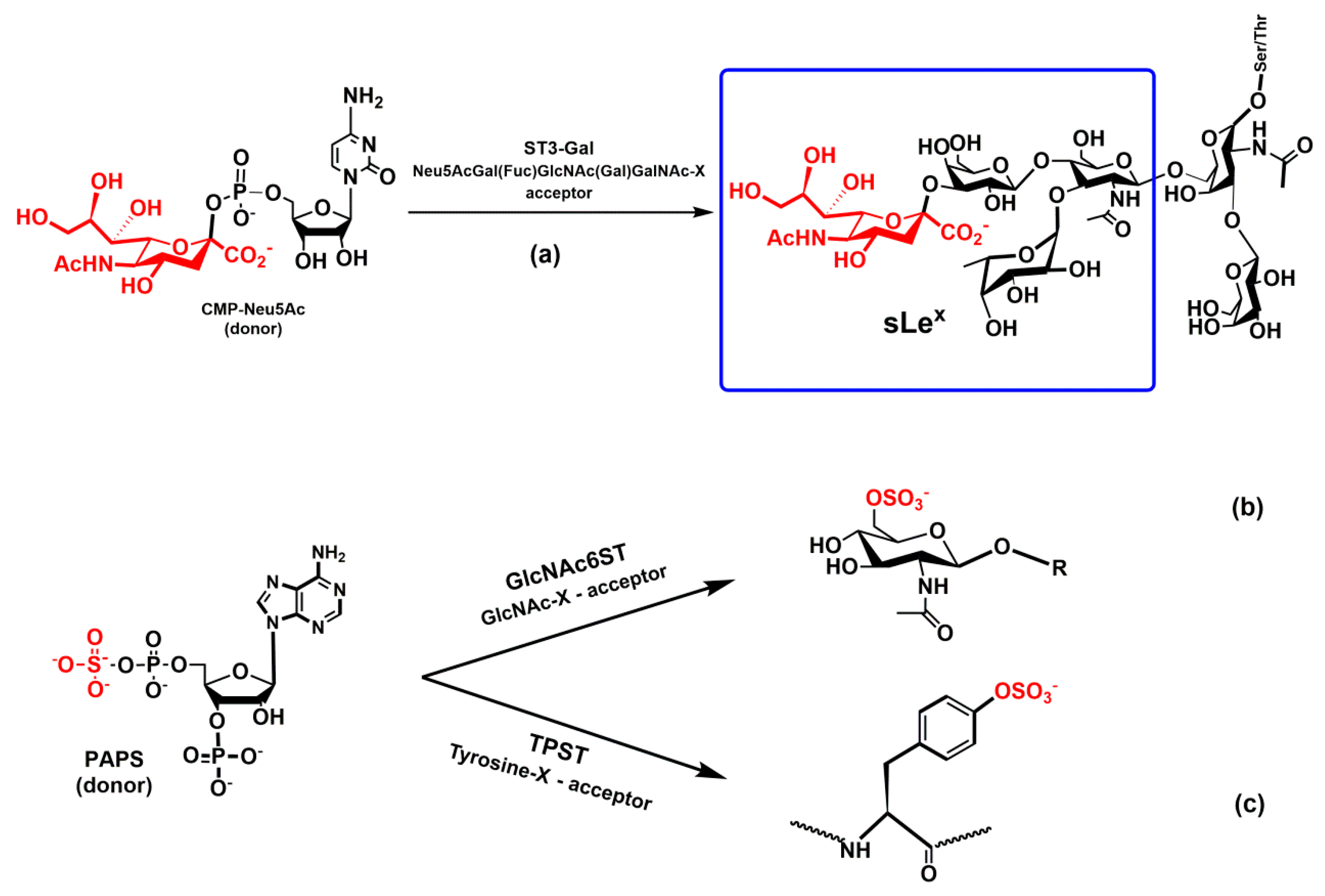 Molecules 25 02835 g009 Molecules 25 02835 g009