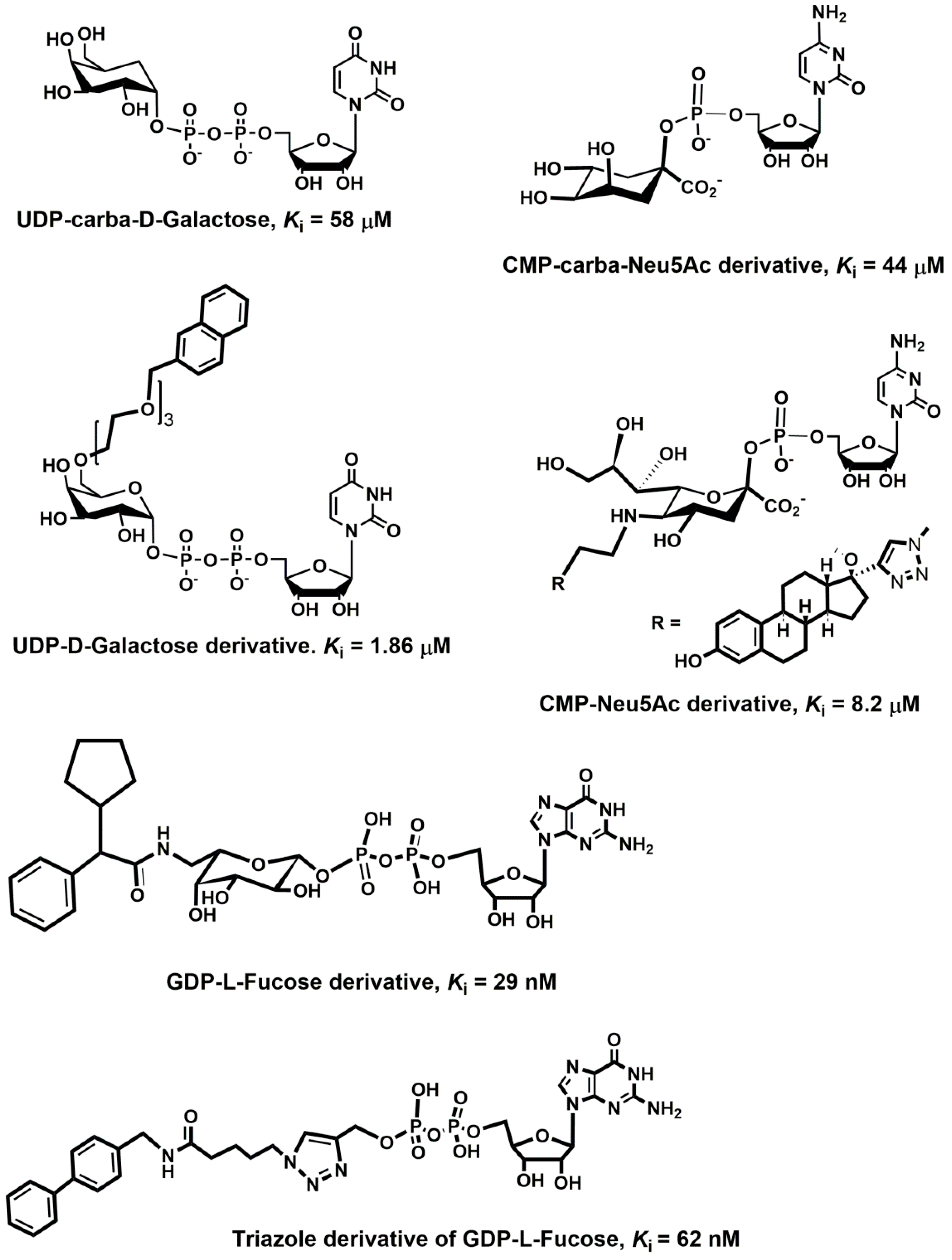 Molecules 25 02835 g016 Molecules 25 02835 g016